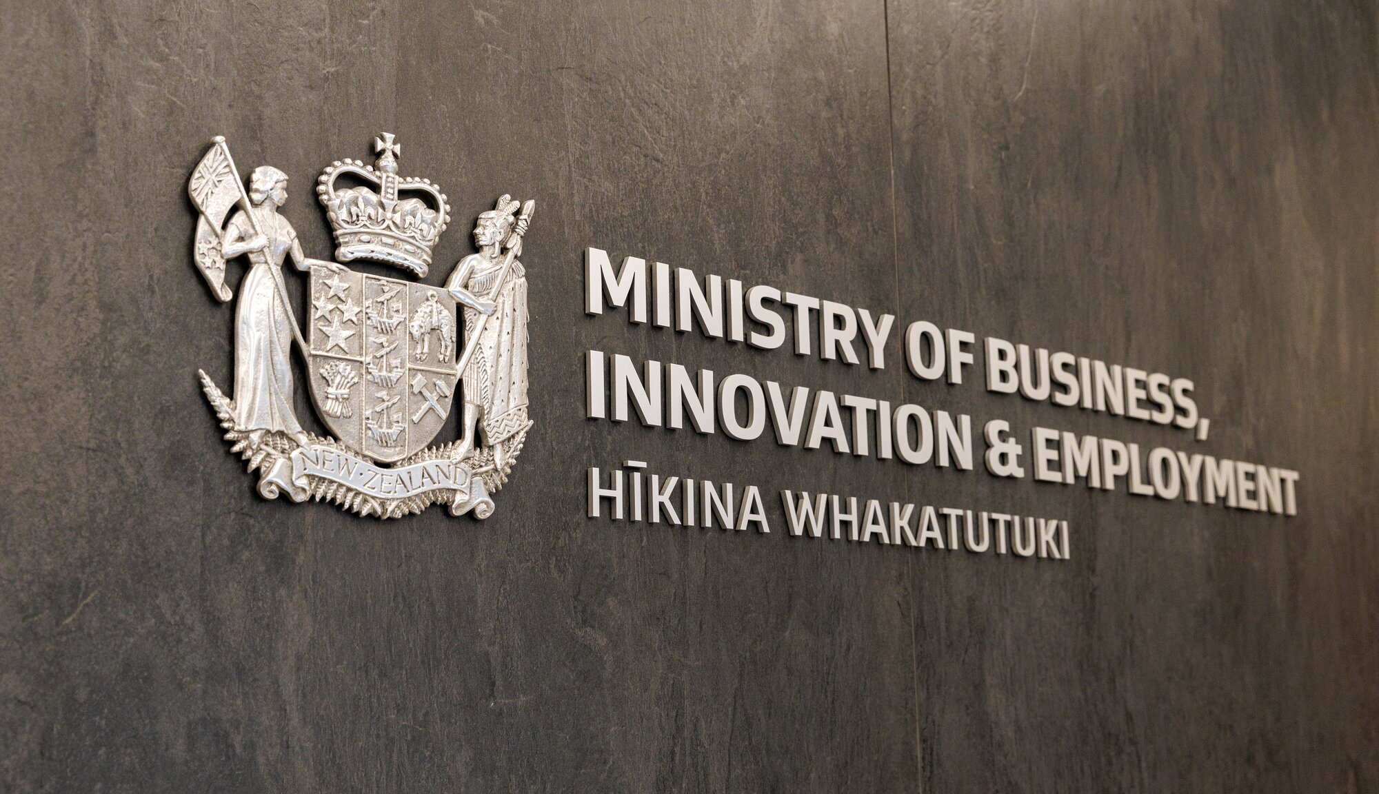The Ministry of Business, Innovation & Employment sent the Herald information it then asked to be destroyed. Photo / Mark Mitchell