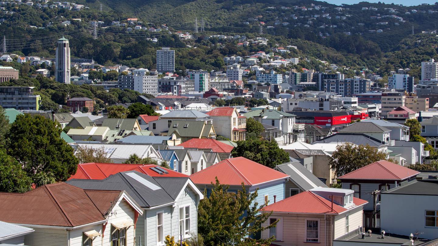 Housing in Mt Victoria, looking across Te Aro, Wellington. Photo / Mark Mitchell
