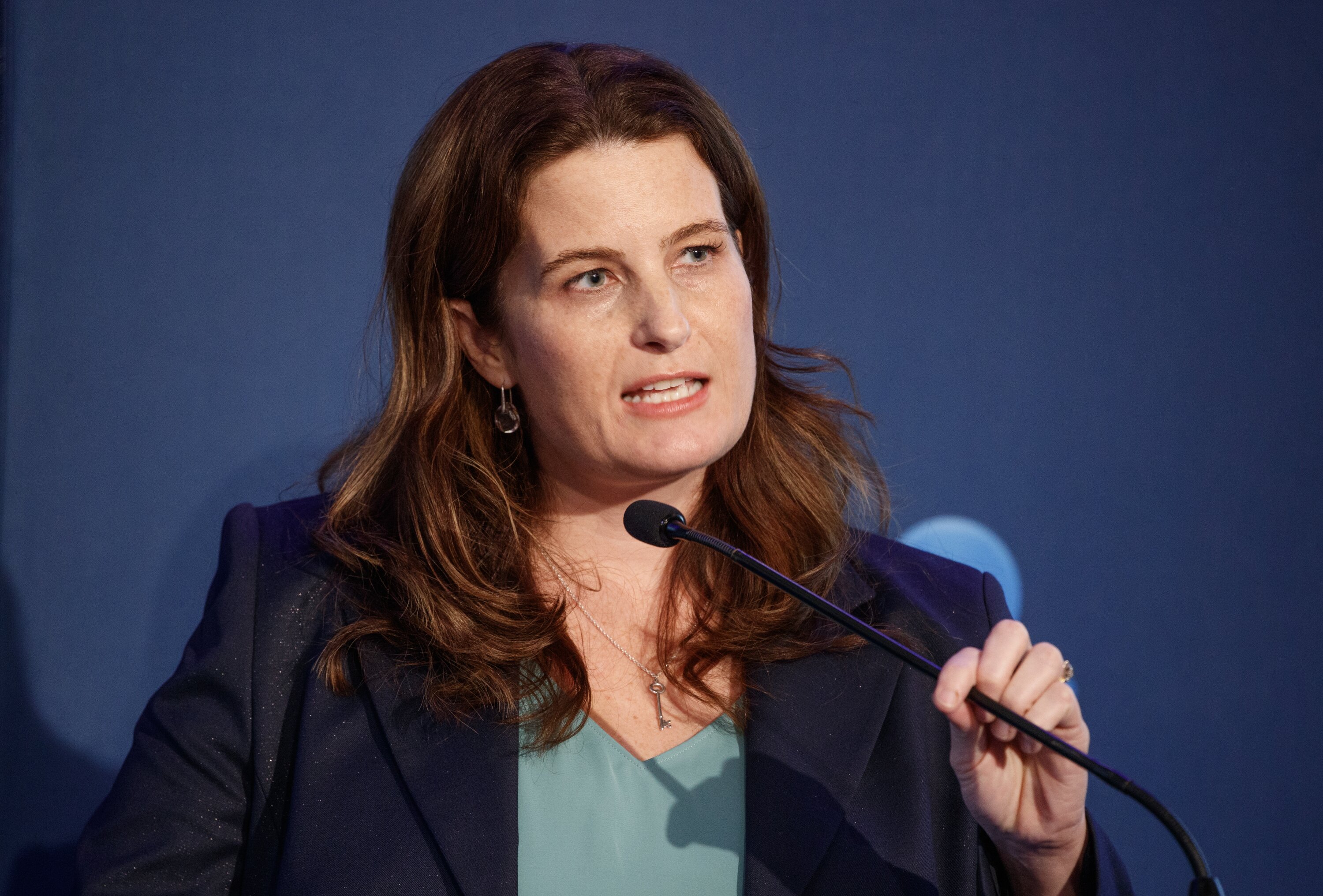Nicola Willis giving a speech the day after delivering her first Budget. Photo / Mark Mitchell