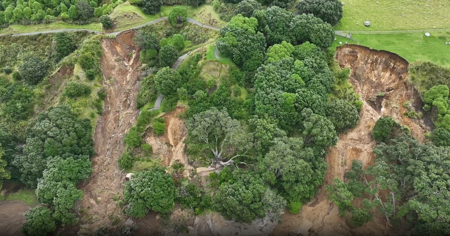 There are 40 slips on Mauao. Photo / Tauranga City Council Screengrab