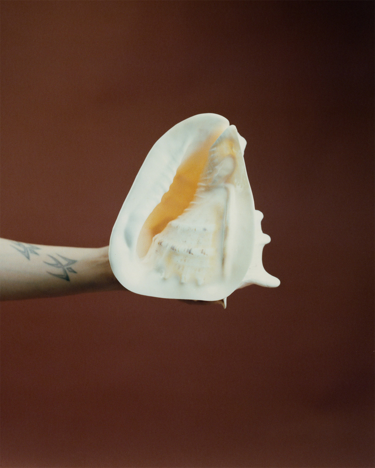 Photo /  Jerome Warburton