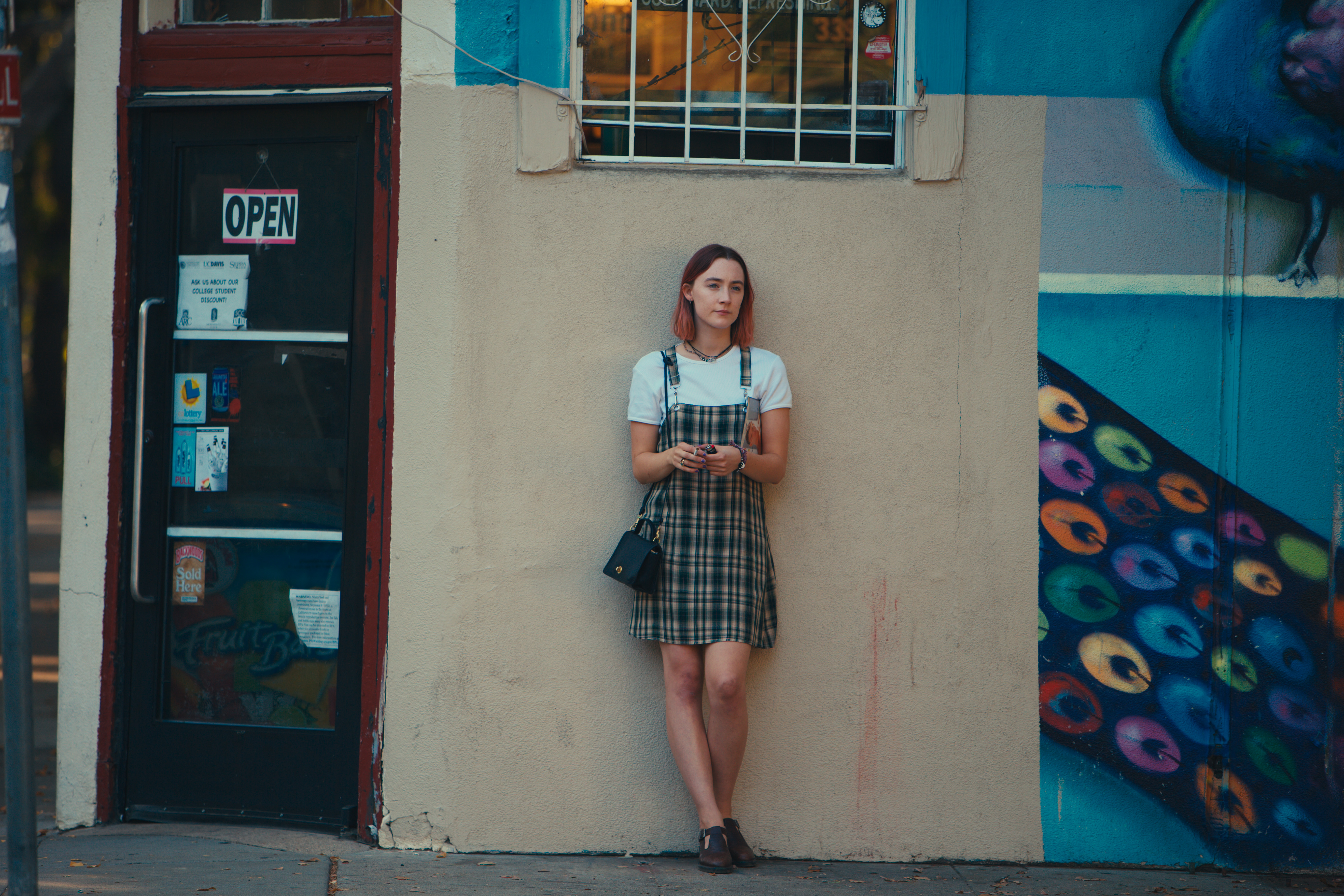 Lady Bird is a semi-autobiographical coming-of-age tale. 