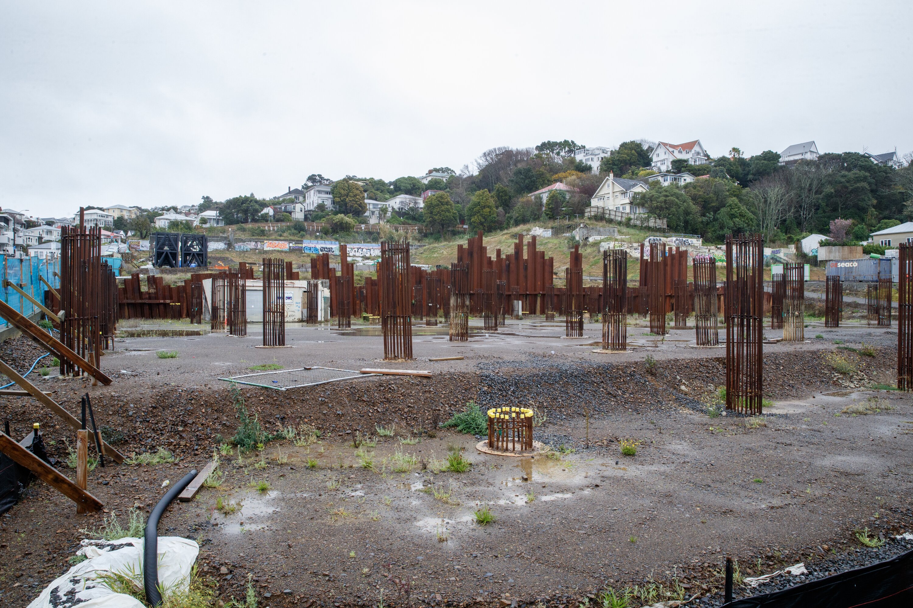 The Arlington development site, which covers 1.77 hectares. Photo / Mark Mitchell.