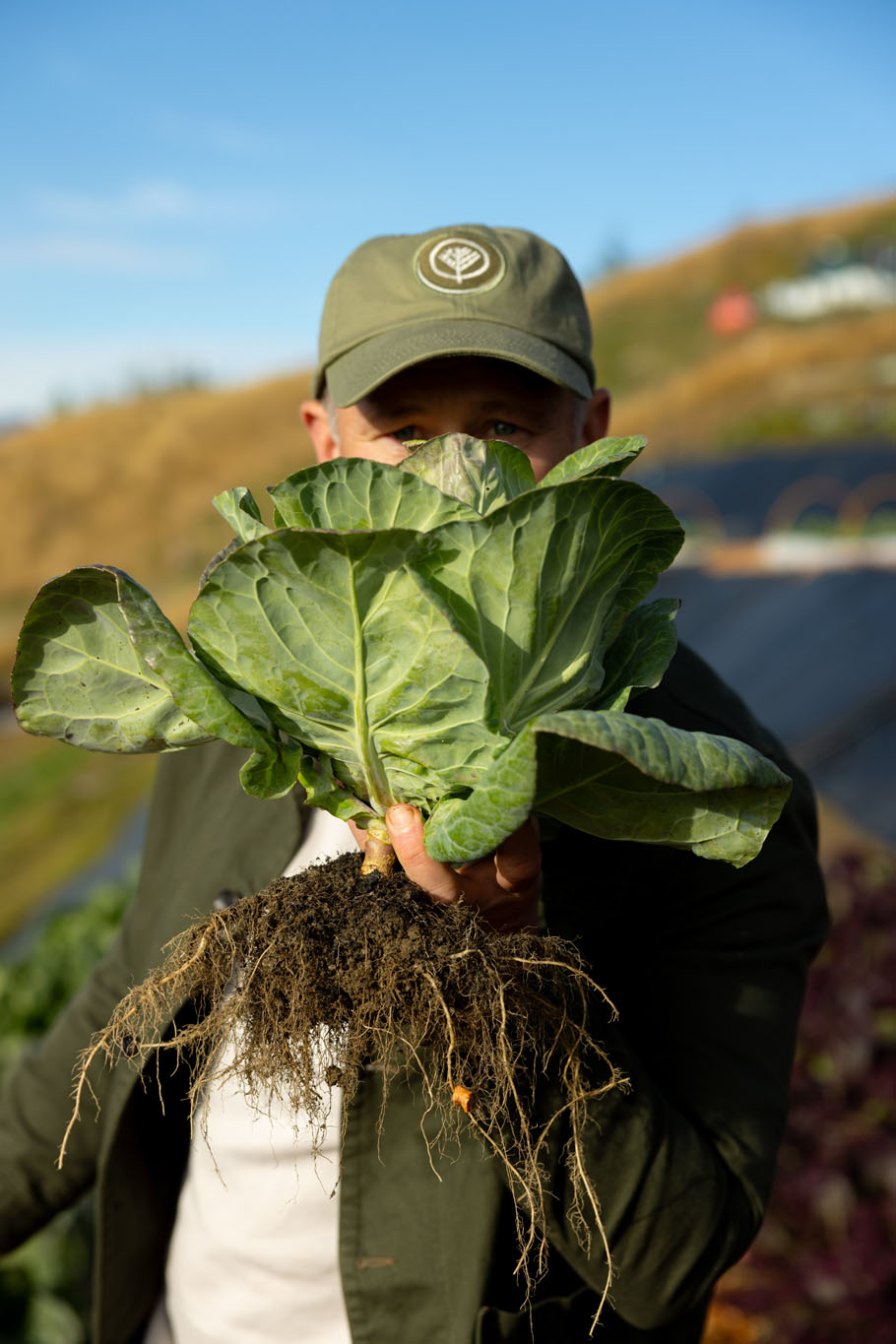 Chris Scott, executive chef at Queenstown’s Sherwood, is aiming to supply 85 per cent of the restaurant’s fresh produce from two kitchen gardens. Photo / Jono Parker