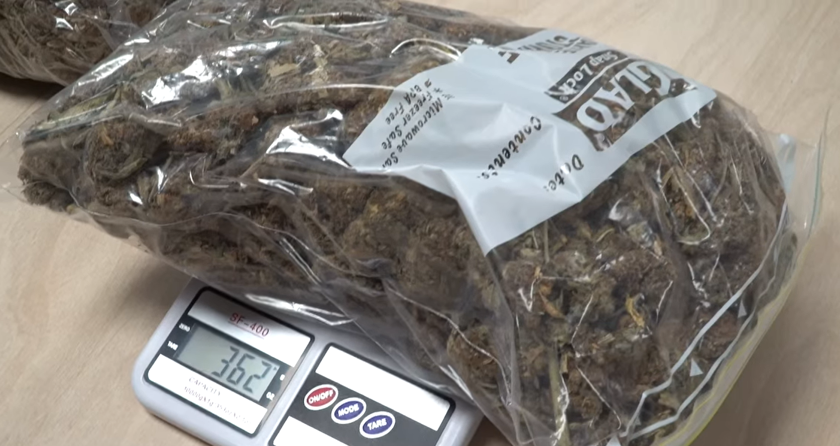 Police involved in Operation Bush show some of the cannabis found during a series of raids in July 2022. Photo / NZ Police