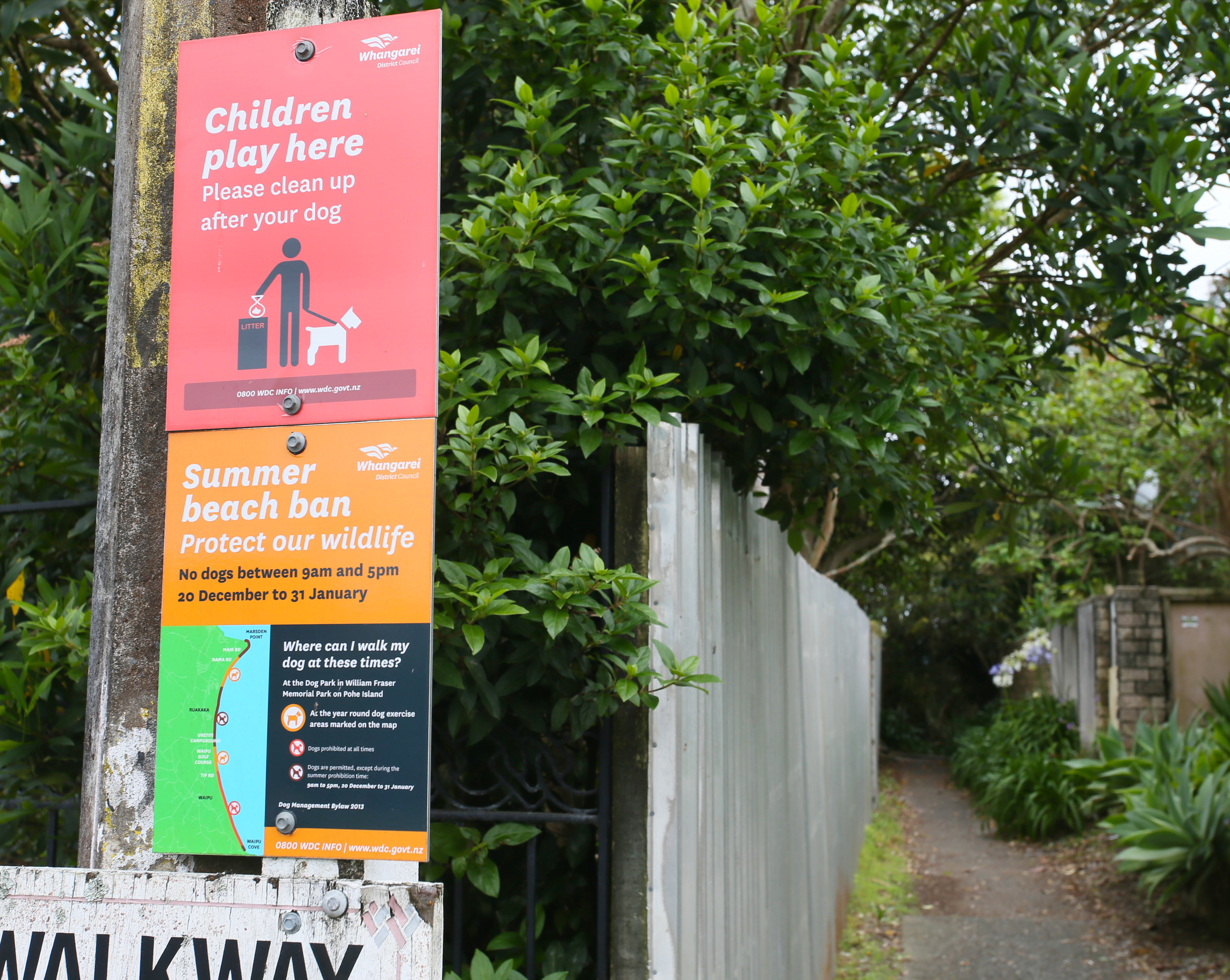The review is an opportunity for the public to have their say on dog beach access rules during summer. Photo / Tania Whyte