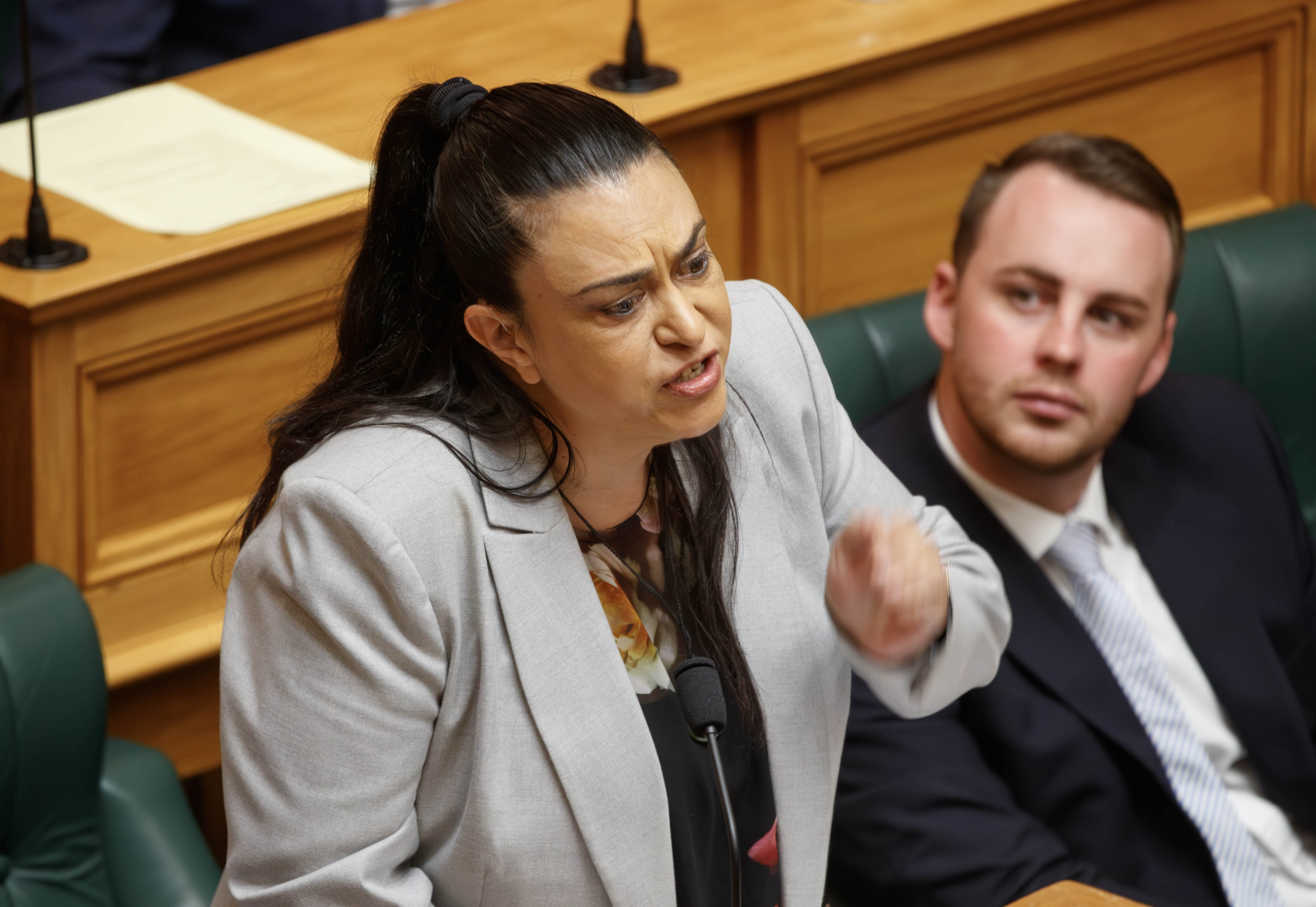 Children Minister Karen Chhour during Question Time at Parliament. Photo / Mark Mitchell