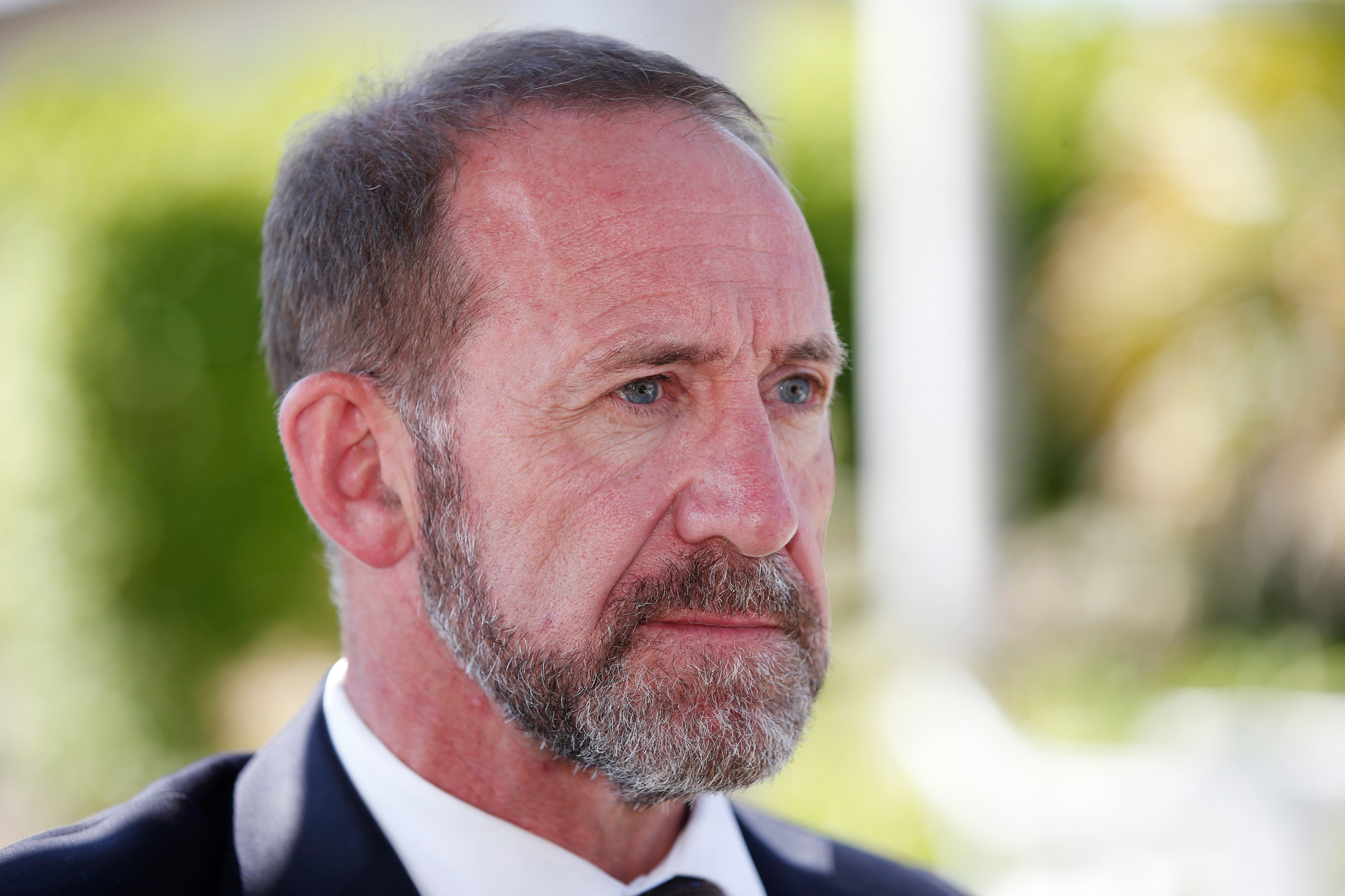 Health Minister Andrew Little. Photo / Michael Cunningham