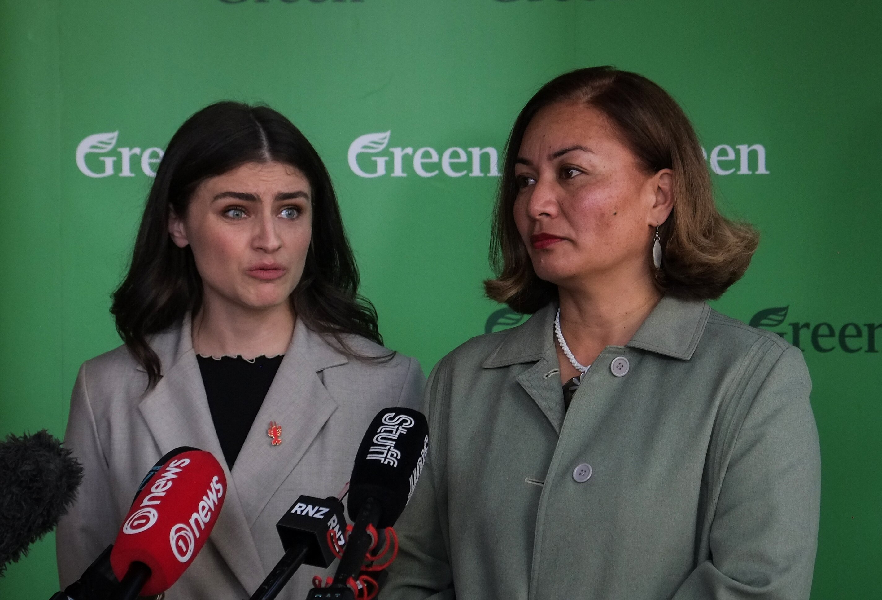 The Green Party will announce its tax policy today. Photo / Alex Robertson