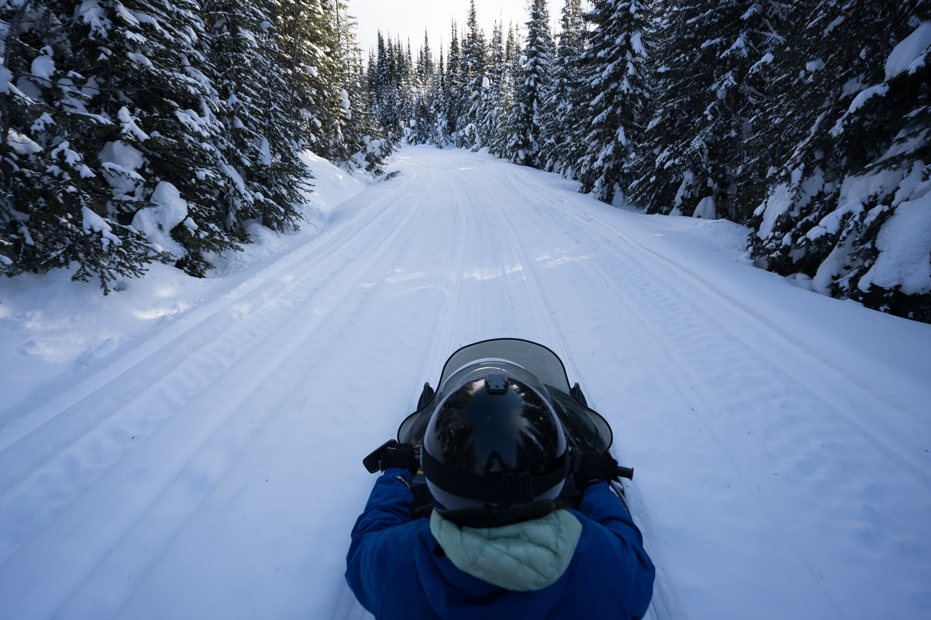 Snowmobiles are the jet-skis of the snow. Photo / Supplied