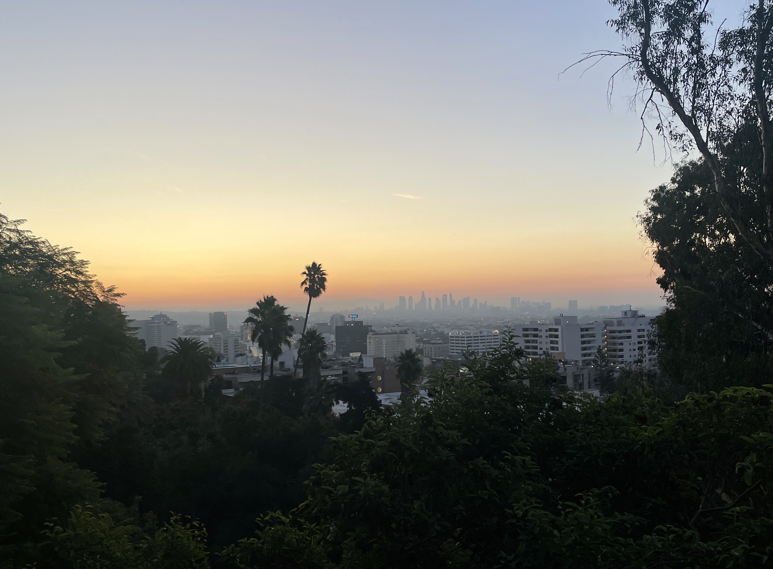 Los Angeles city as seen from the Runyon Canyon hike. Photo / Katie Harris