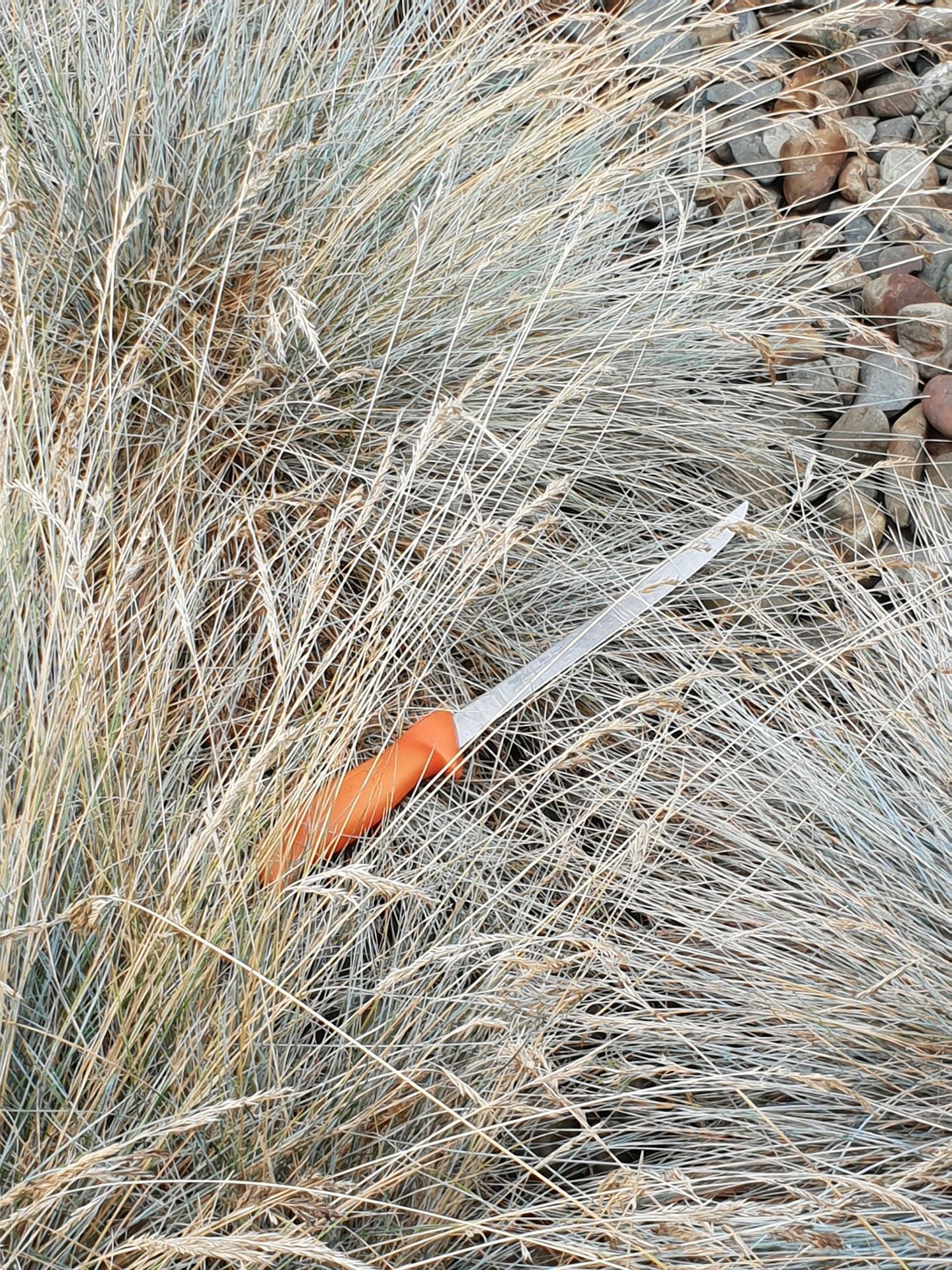 The homeowner found a knife discarded in grass after chasing a meth-crazed intruder who was trying to smash his way inside. Photo / Supplied