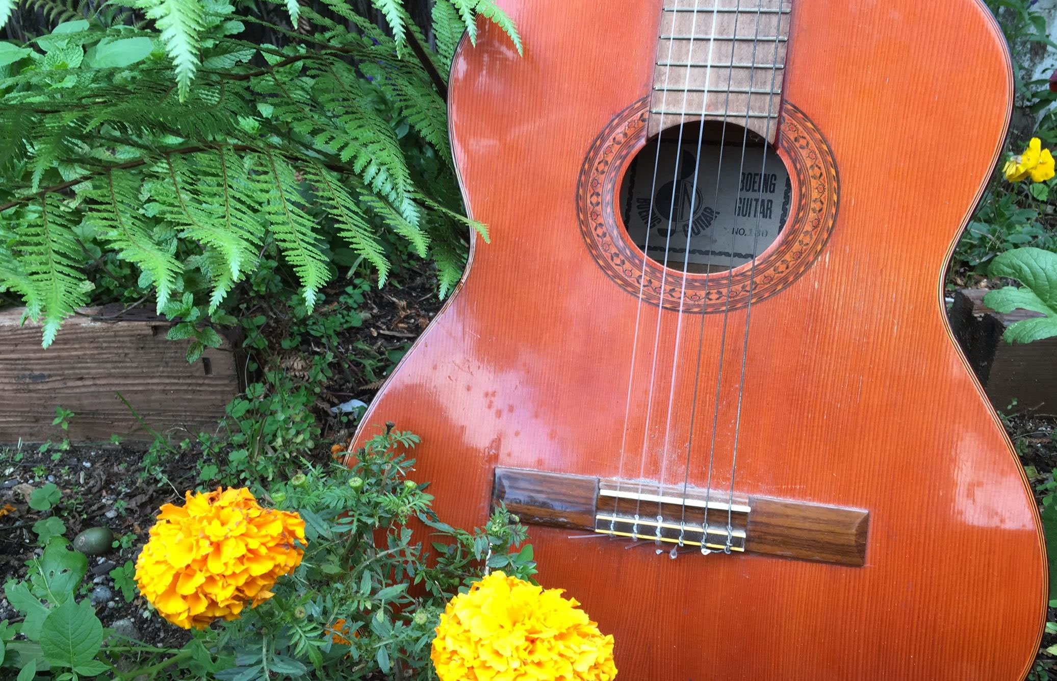 Boeing Acoustic