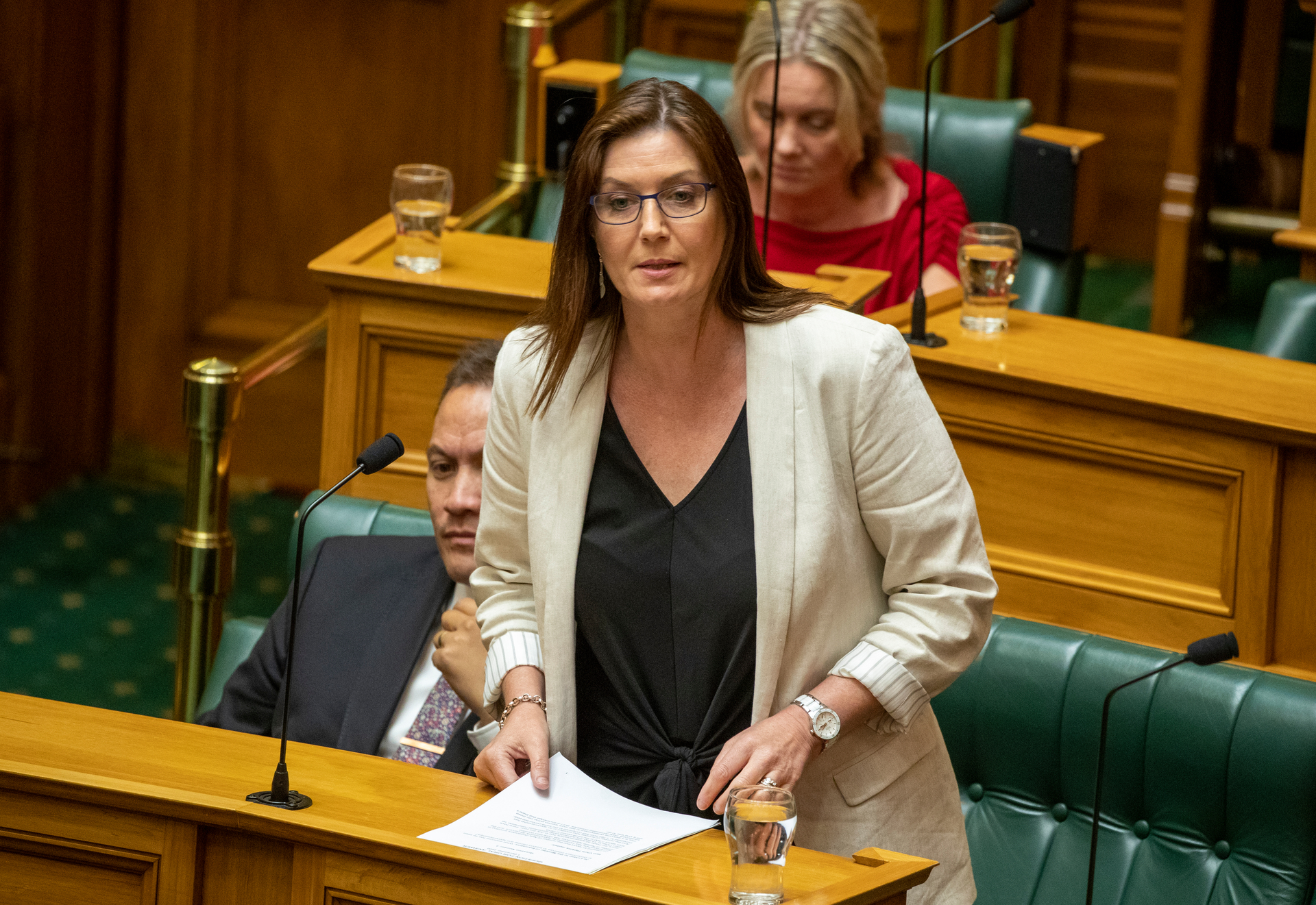 Associate Education Minister Jo Luxton. Photo / Mark Mitchell