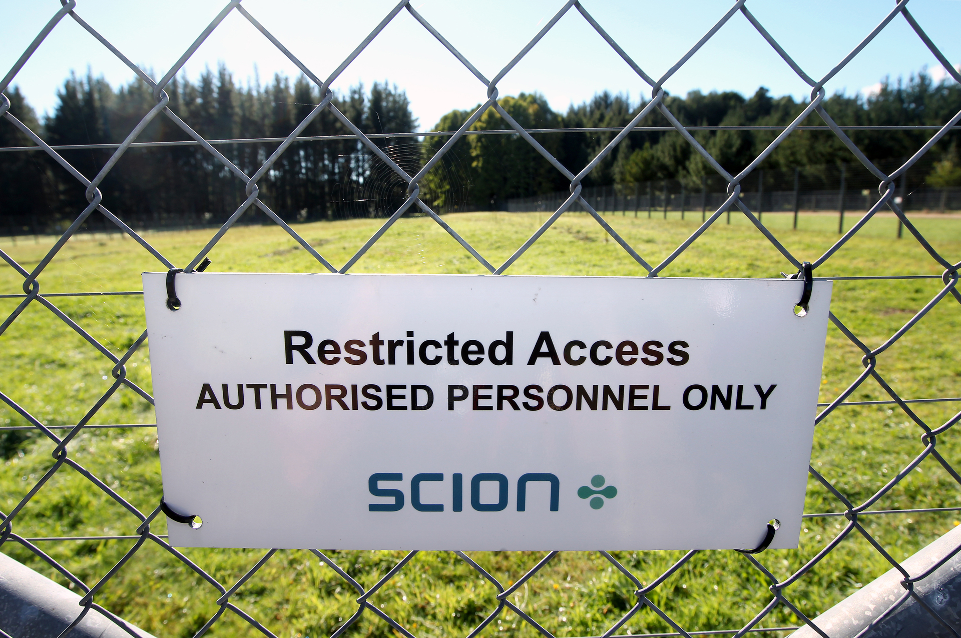 Our regulatory regime means esearch involving genetic modification must be done under strict containment in New Zealand. Photo / Ben Fraser