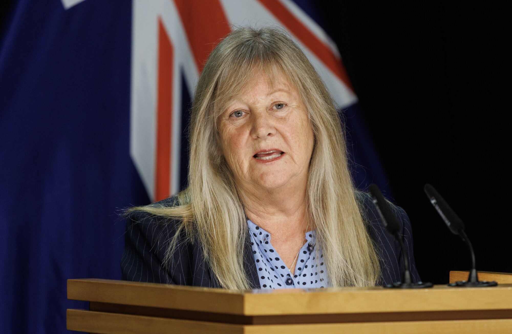 Minister of Science, Innovation and Technology Penny Simmonds. Photo / Mark Mitchell