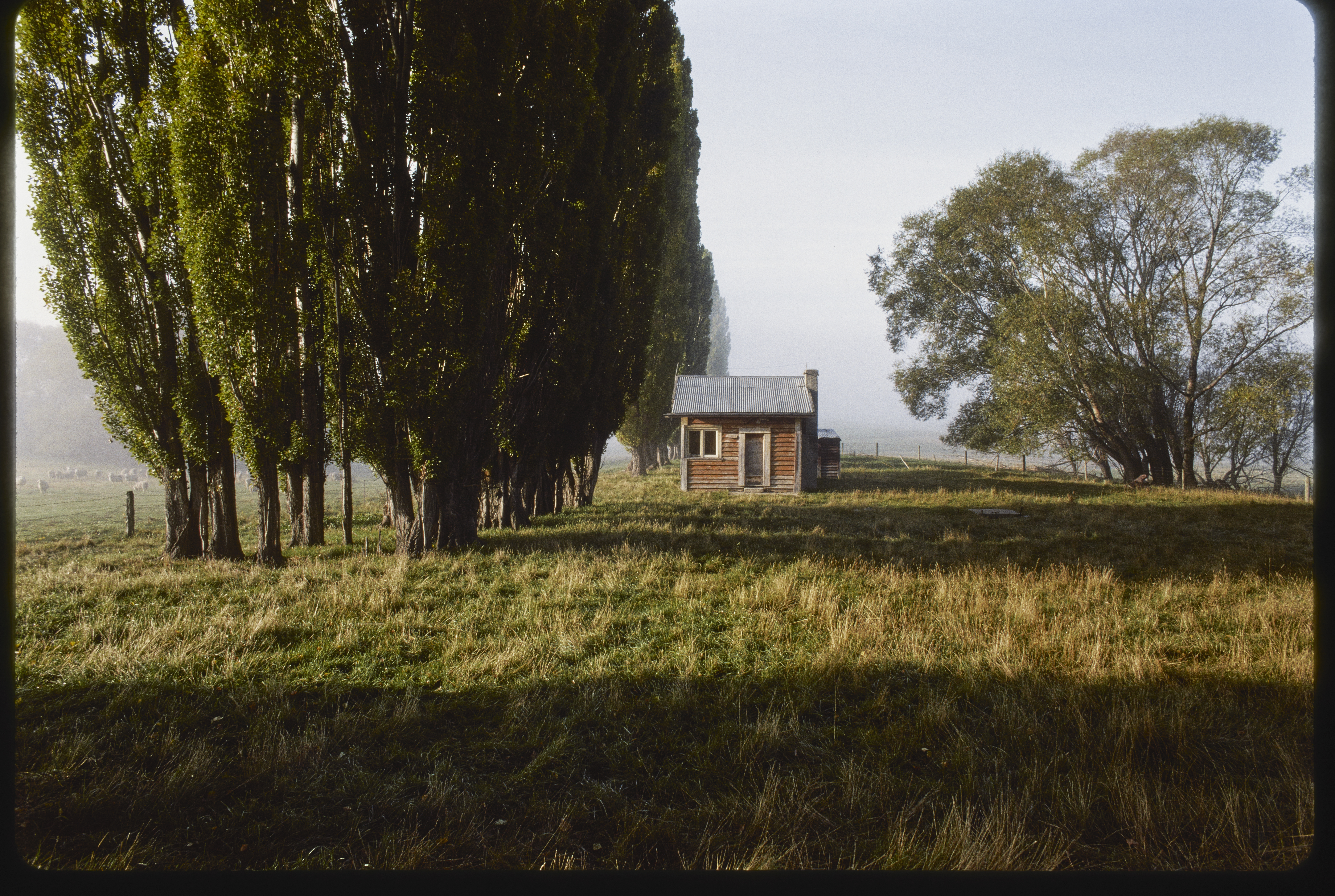 Bee House, Ida Valley. Photo / Robin Morrison
