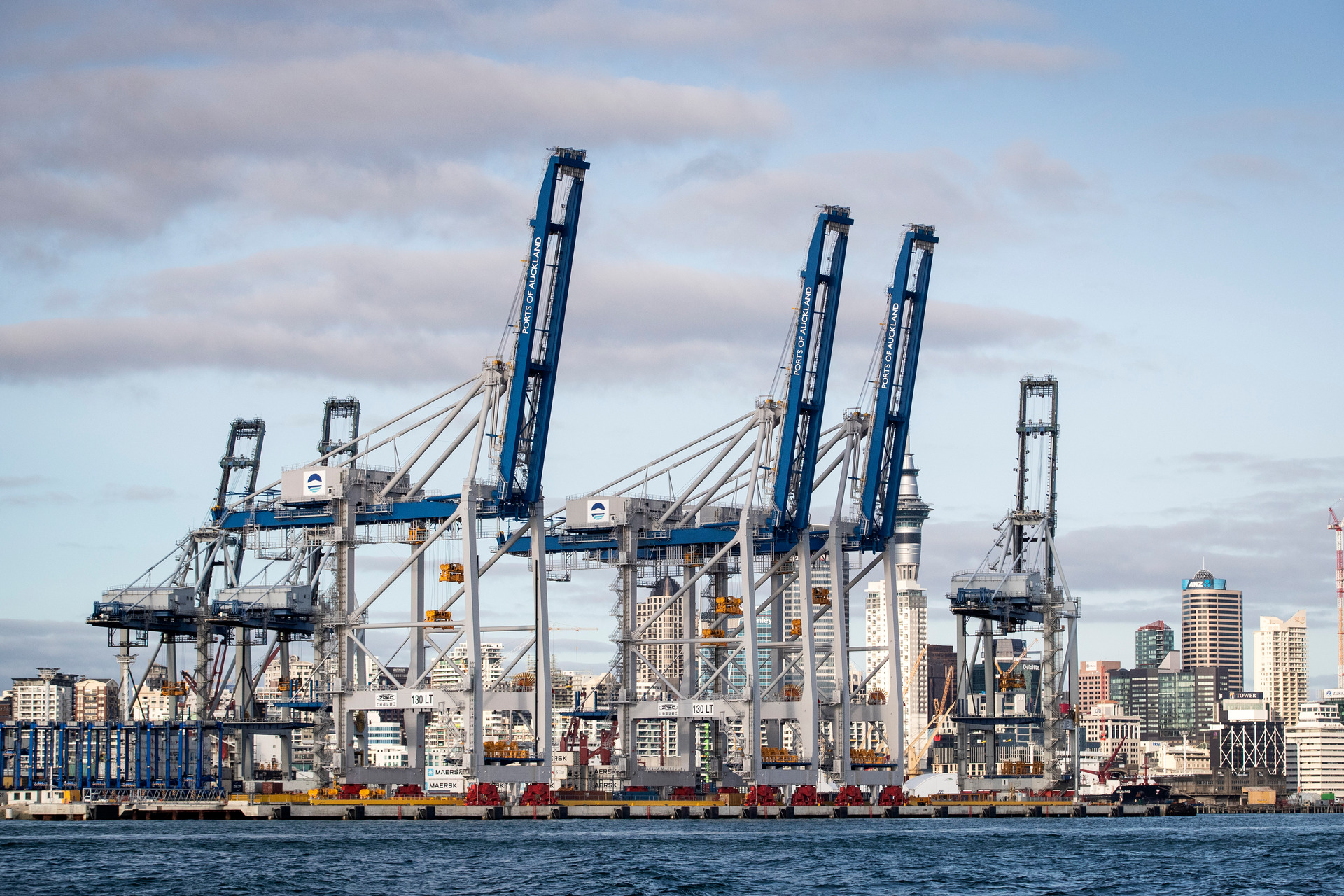 Automation is extremely important in helping Ports of Auckland handle more freight without reclaiming more harbour. Photo / File