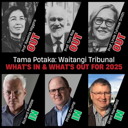 The old and new members of Tama Potaka's Waitangi Tribunal. Photo / Te Pāti Māori.