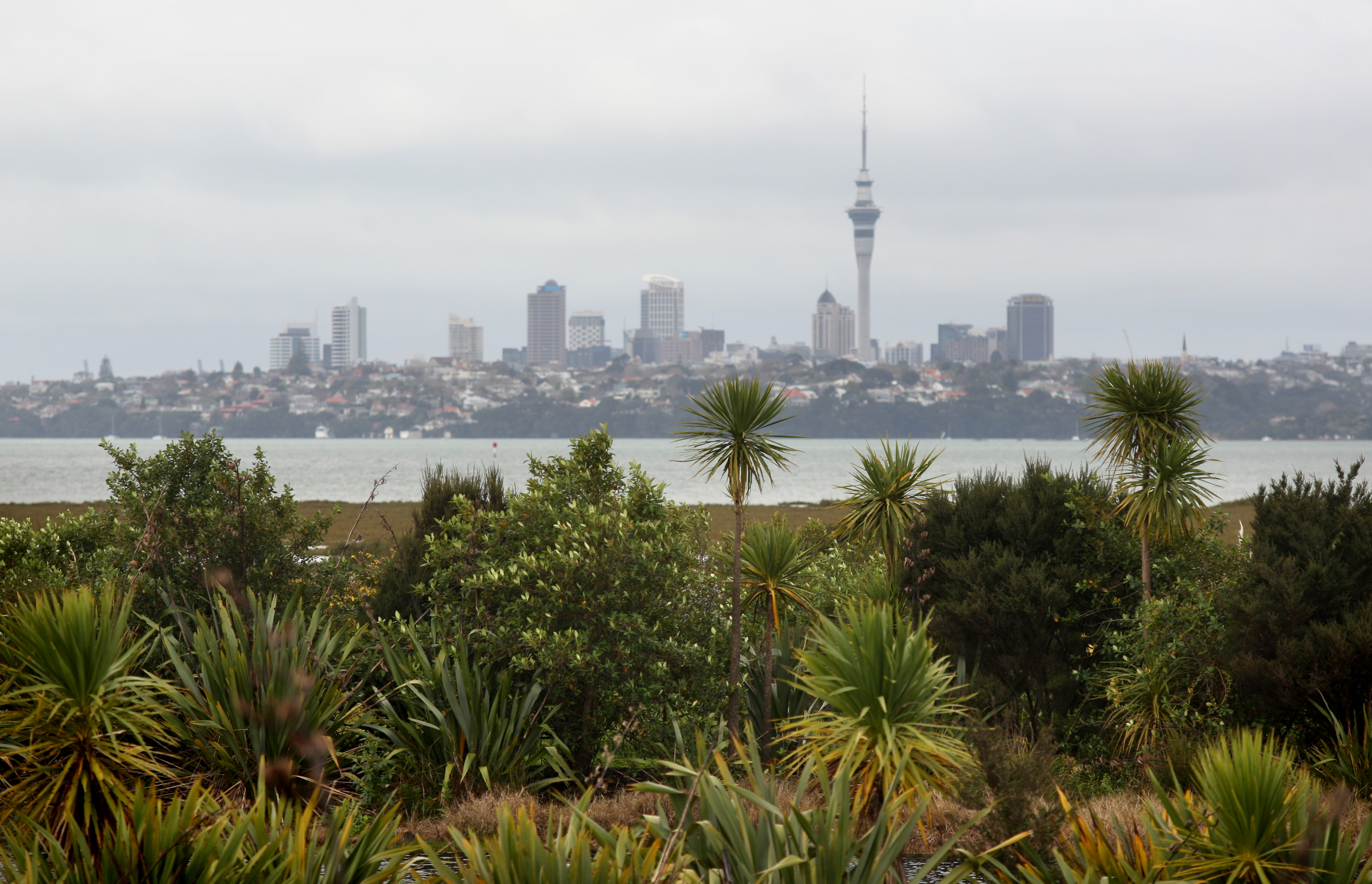 A campaign aimed to create positive feelings about Auckland. Photo / Natalie Slade