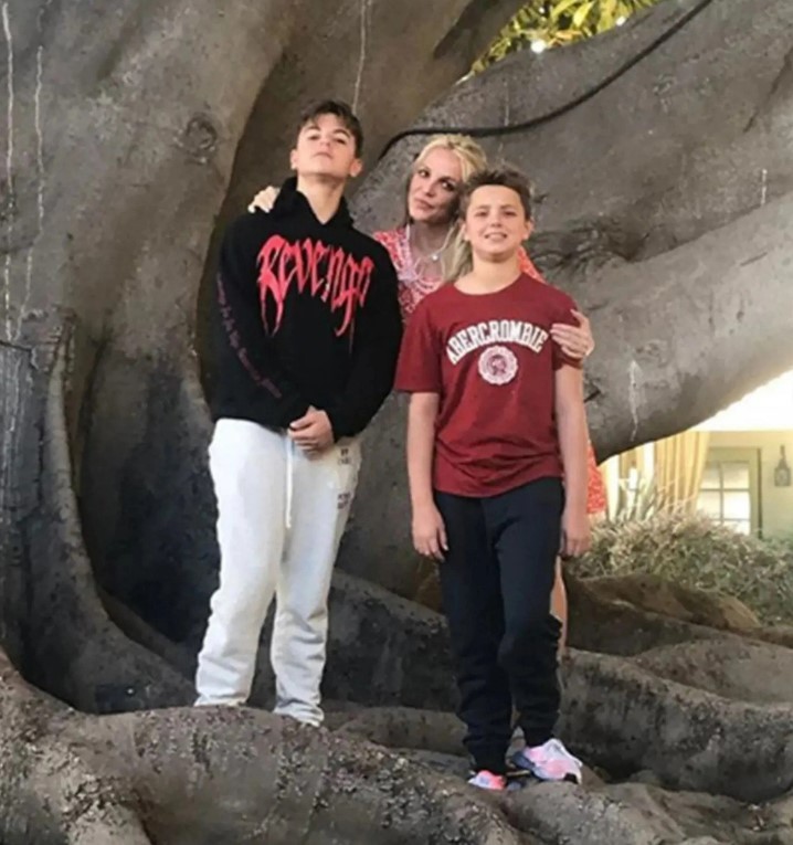 It has been reported the singer's two sons, Sean and Jayden will not be in attendance. Photo / Instagram @britneyspears