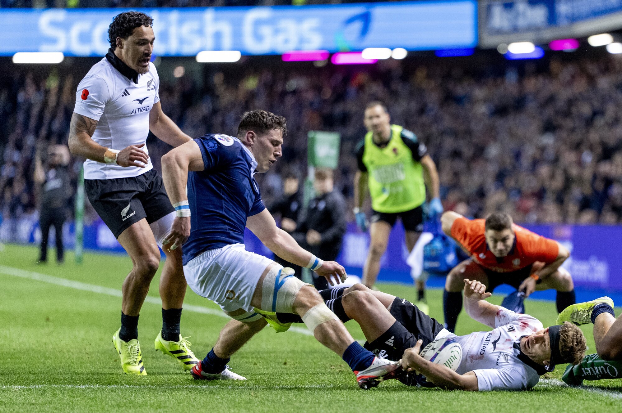 Damian McKenzie played a starring role in the All Blacks' win over Scotland at Murrayfield. Photo / SmartFrame