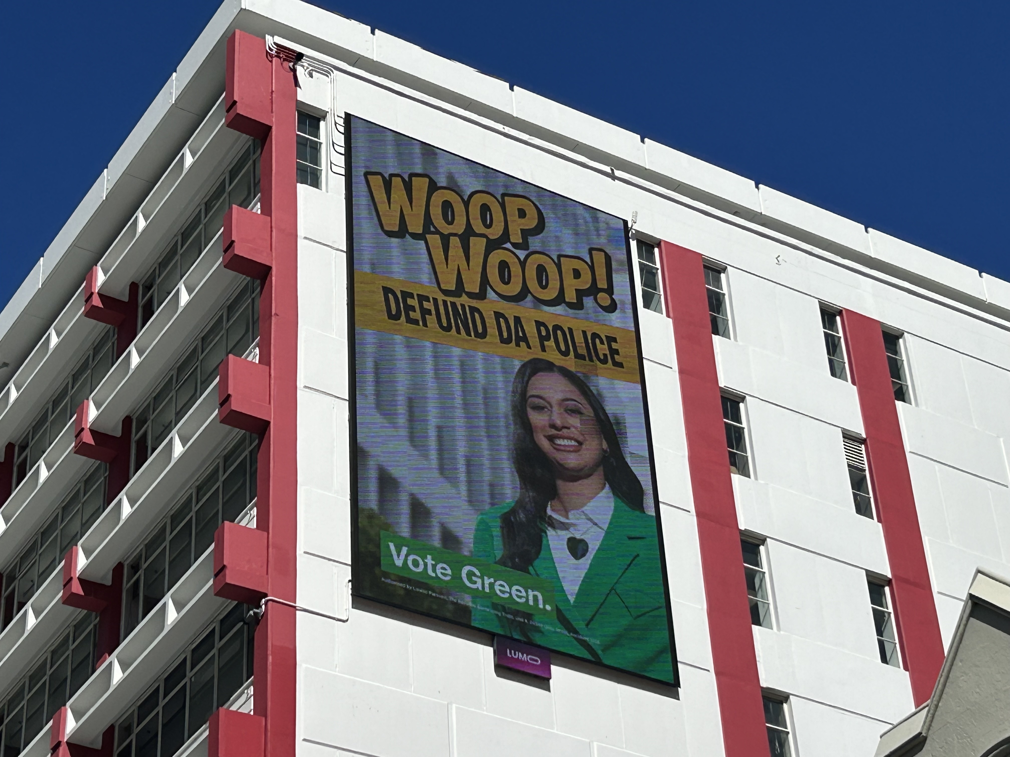 Billboards with a picture of Green MP Tamatha Paul, seemingly paid for by the Sensible Sentencing Trust, have appeared in Wellington. Photo / Adam Pearse