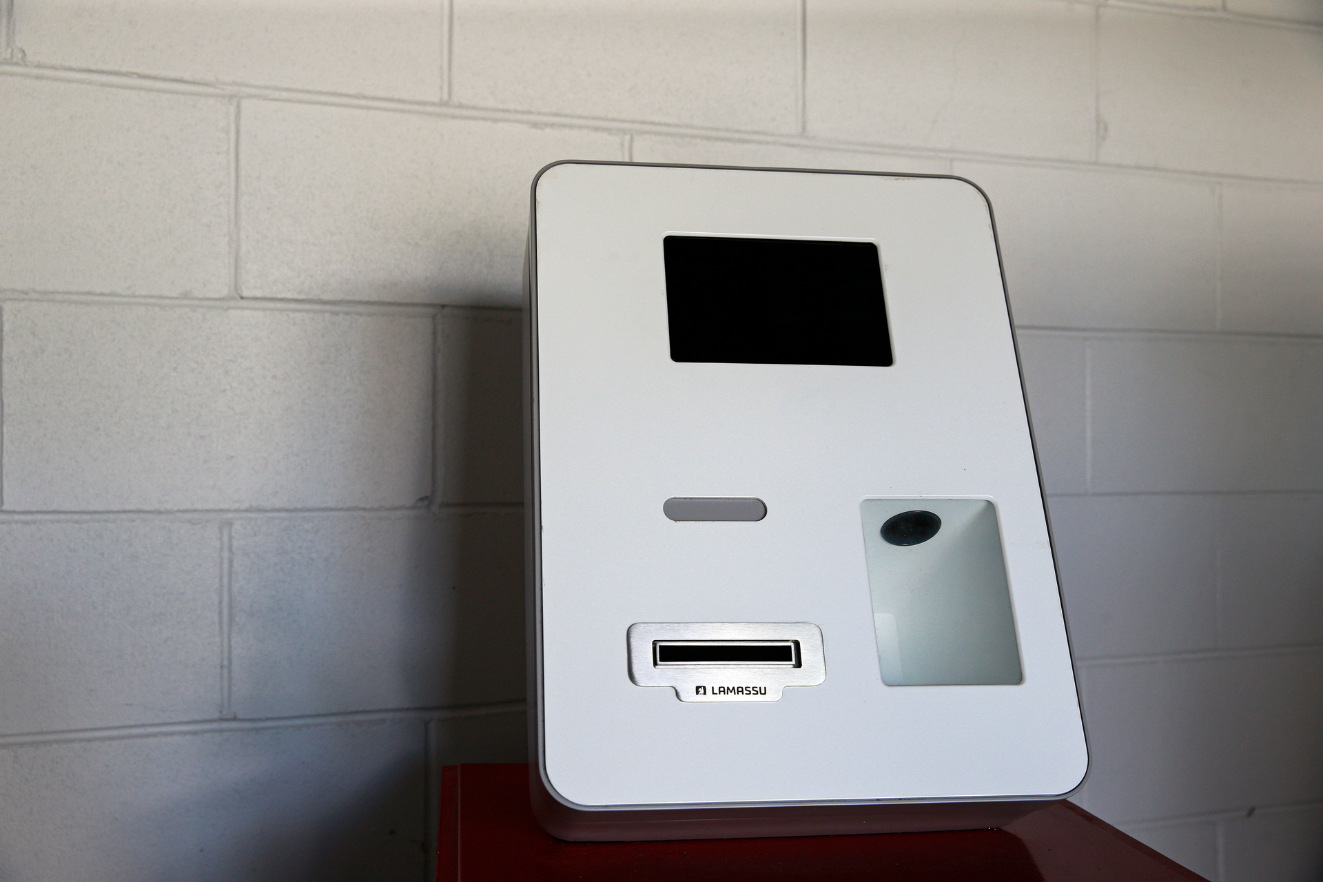 Crypto-mania: Why Kiwis are embracing Bitcoin, NFTs and blockchain  digi-hype - NZ Herald