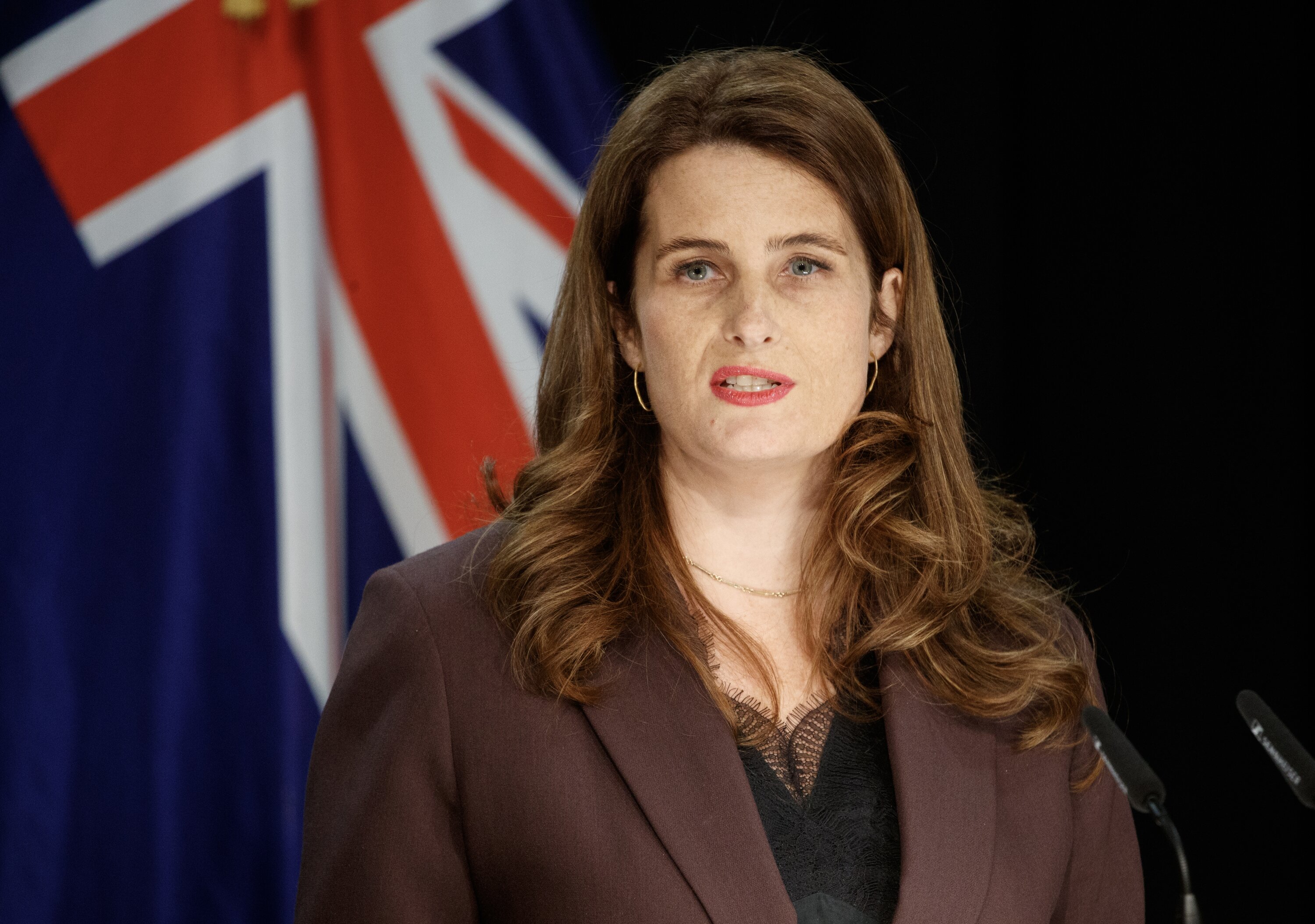Finance Minister Nicola Willis says the financial situation of the KiwiRail ferry project is troubling. Photo / Mark Mitchell