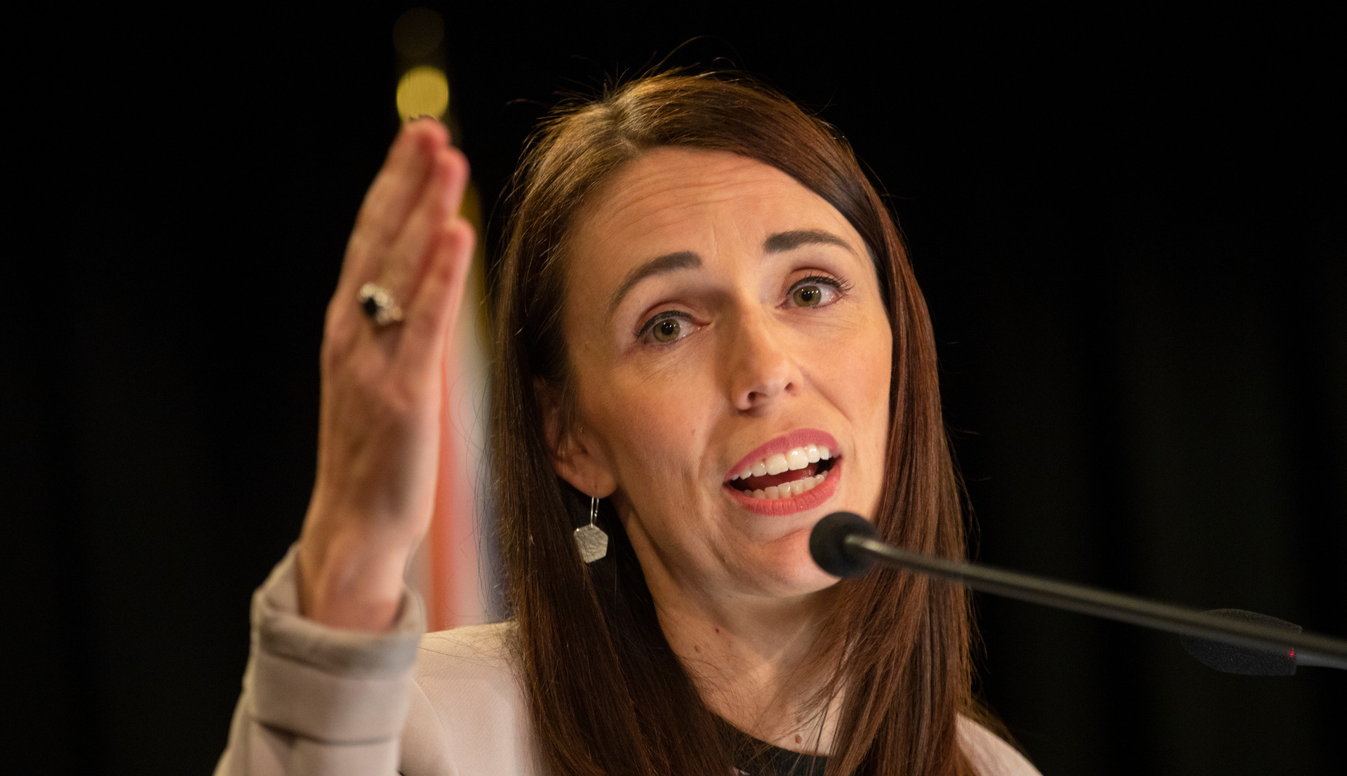 Prime Minister Jacinda Ardern. File photo / Mark Mitchell 