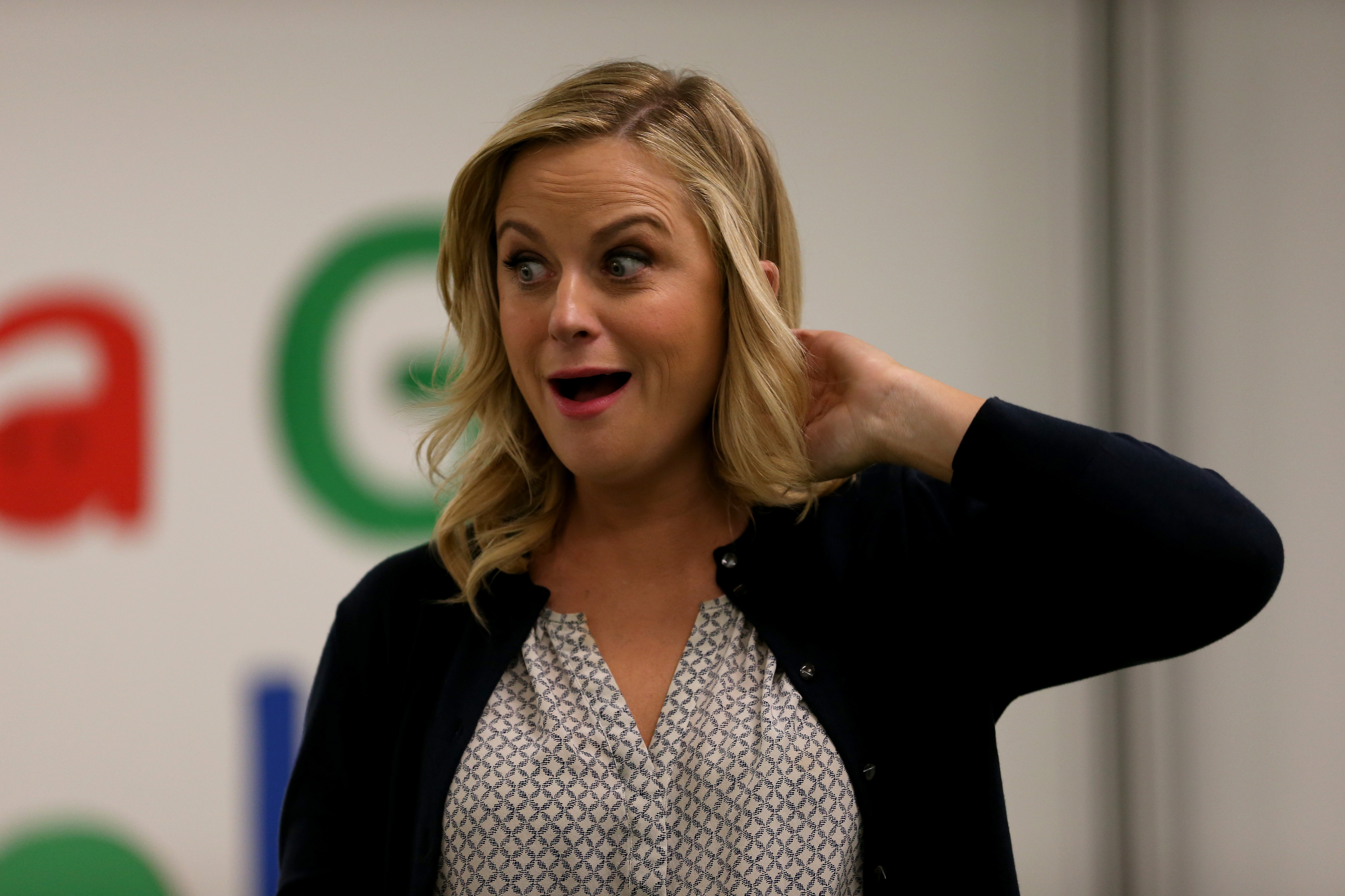 Amy Poehler Fake