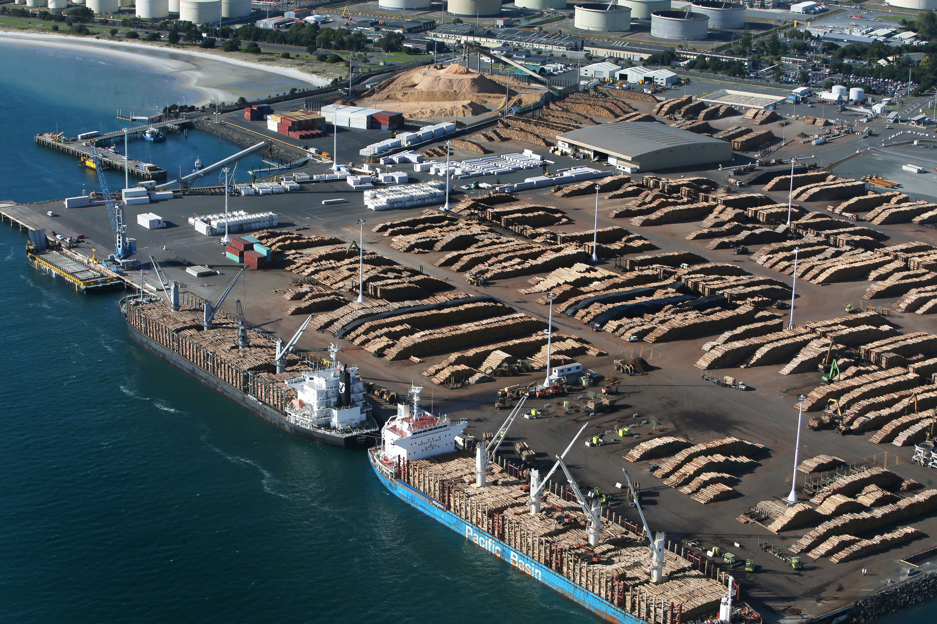 Expert says that timber is often mistaken as a sustainable building material. Photo / Tania Whyte