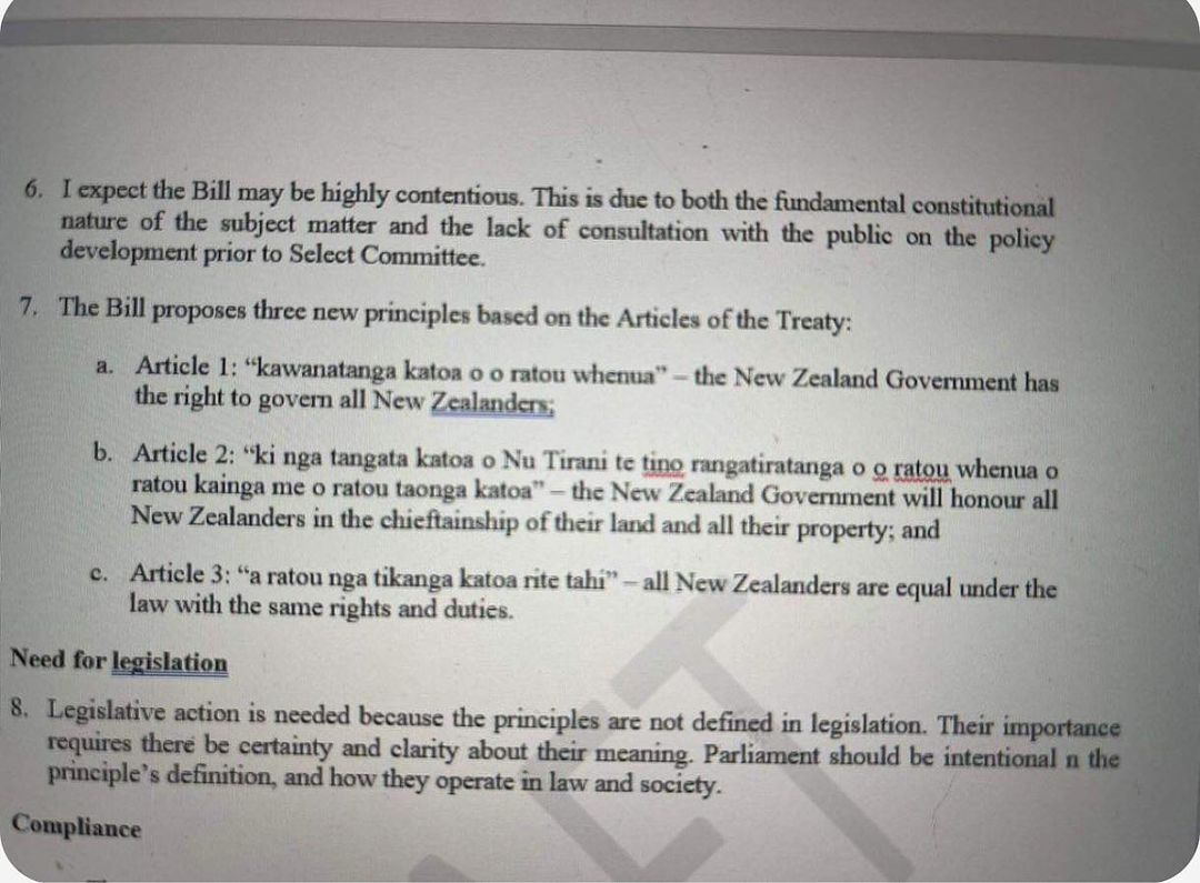 A leaked paper from the Ministry of Justice says the coalition Government’s proposed legislation to define the principles of Te Tiriti o Waitangi could be “highly contentious”. Photo / Instagram @rawiri_waititi