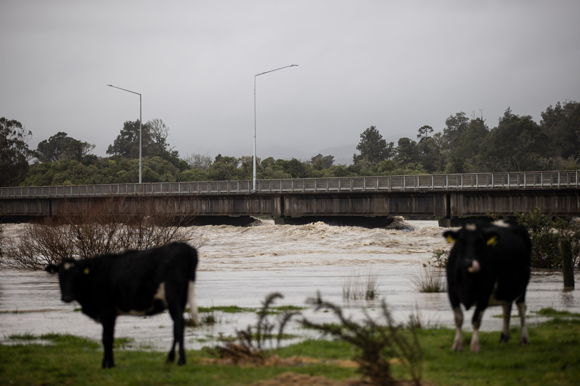 Scientists have been astonished at the flood flows they recorded in the Buller River in July 17. Photo / George Heard