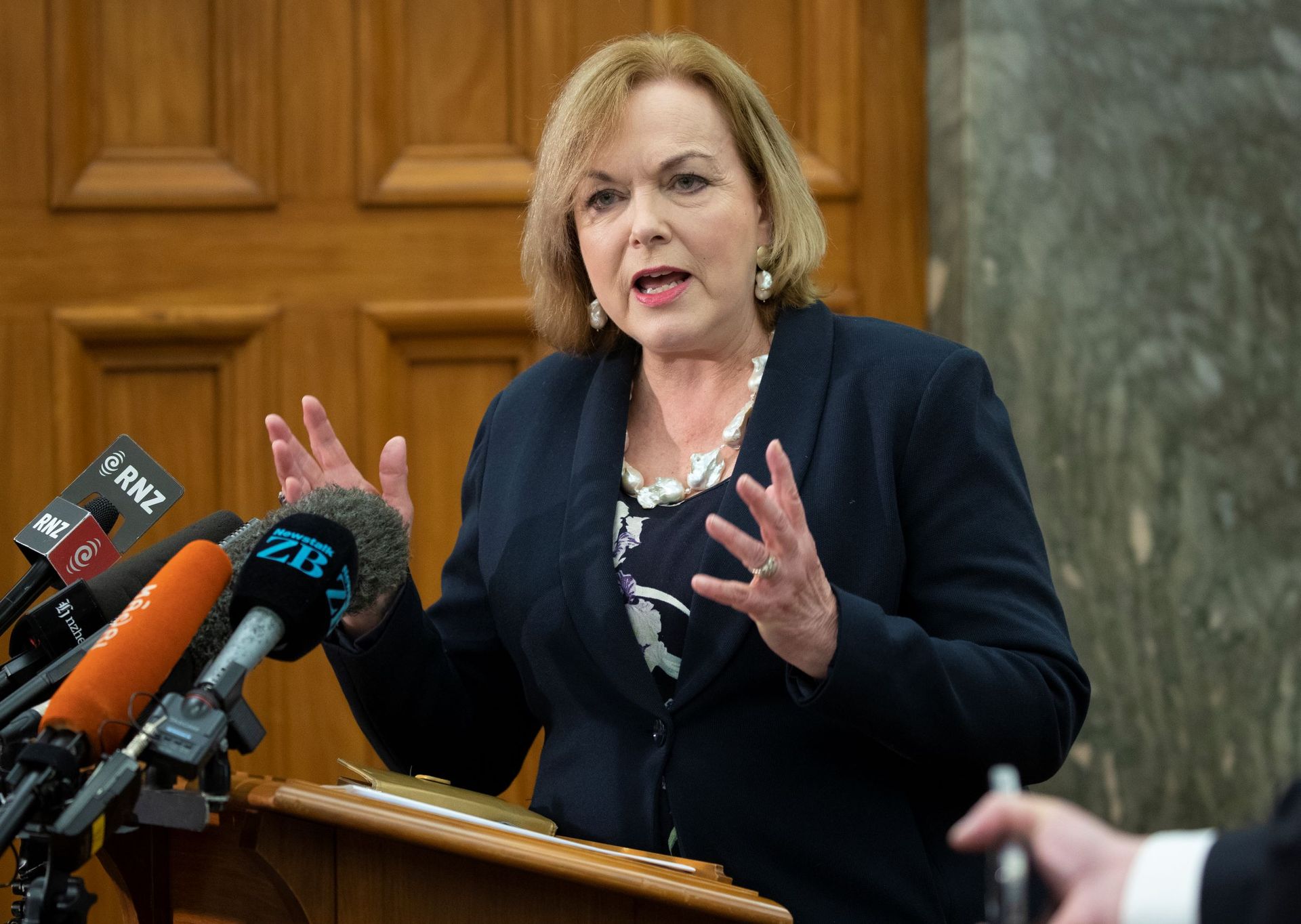 Rersearch, Science and Innovation Minister Judith Collins. Photo / Mark Mitchell