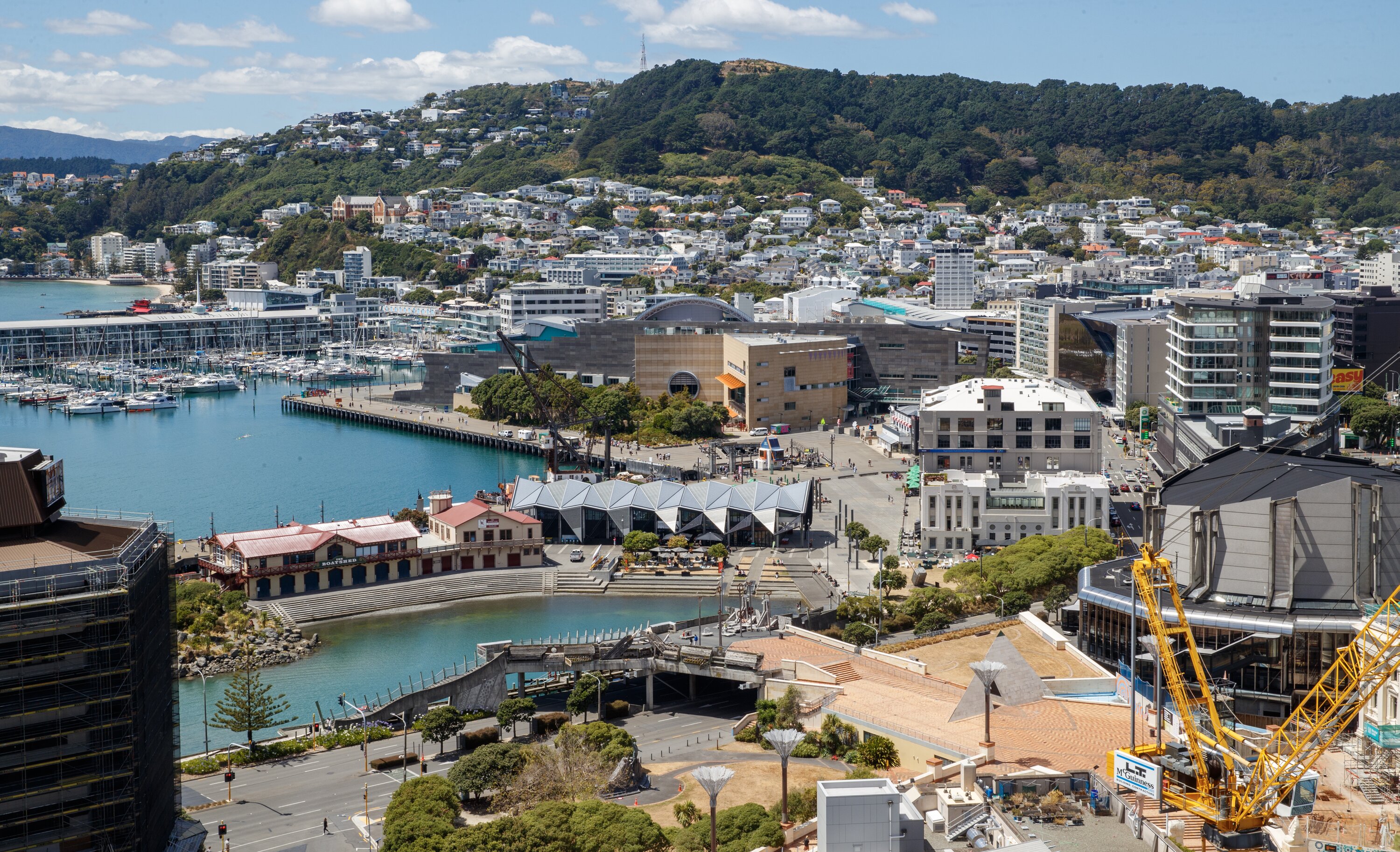 Wellington city. Photo / Mark Mitchell