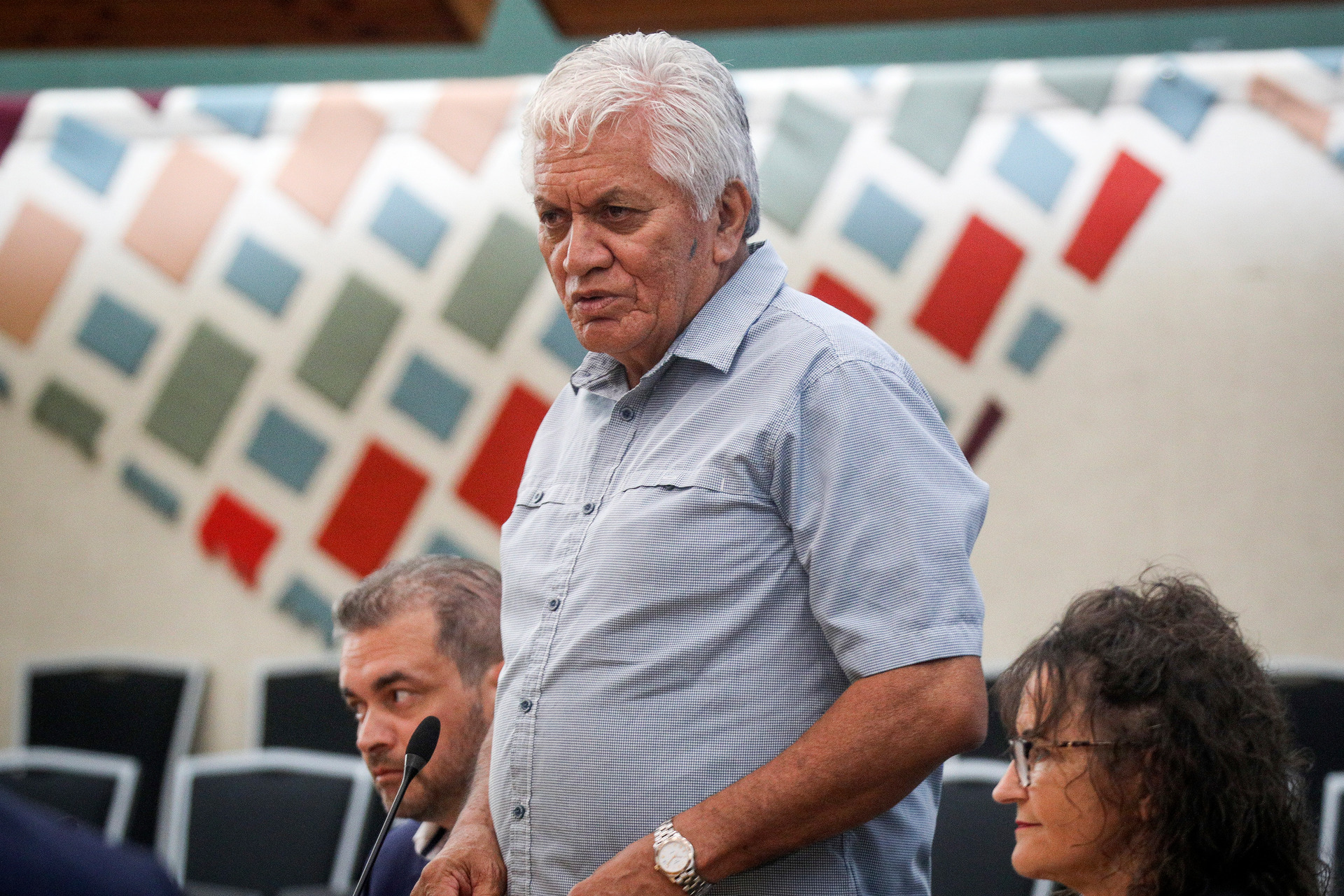 Te Tatau chairman Te Taru White. Photo / File