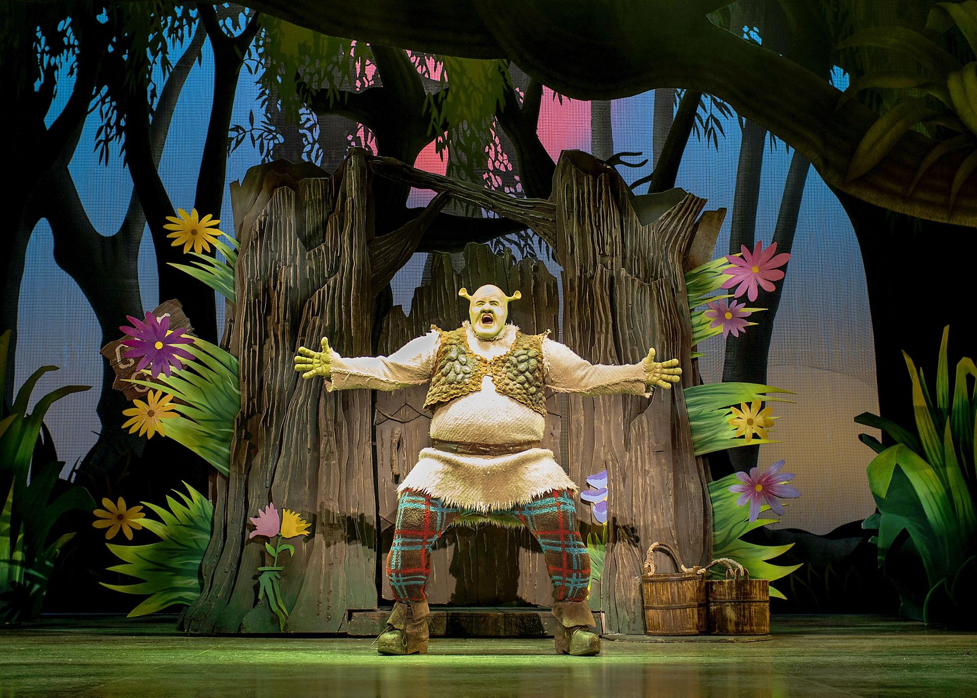 Shrek the animated movie will be dubbed in te reo Māori. Photo / Supplied