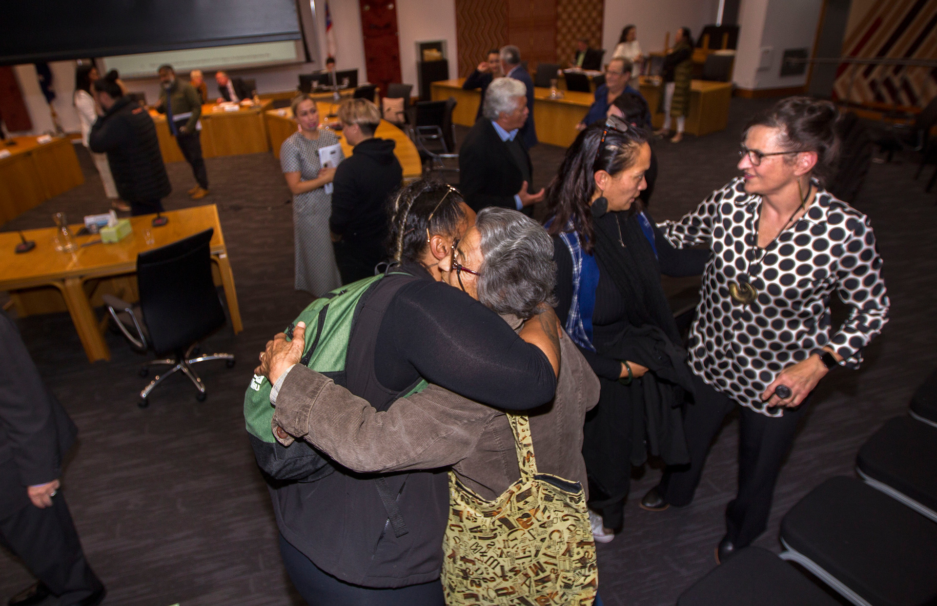 About 80 people filled the public gallery at the Rotorua Lakes Council chamber. Photo / Ben Fraser