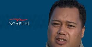 Mane Tahere is the new chairman of to Te Runanga-Ā-Iwi-Ō-Ngāpuhi.