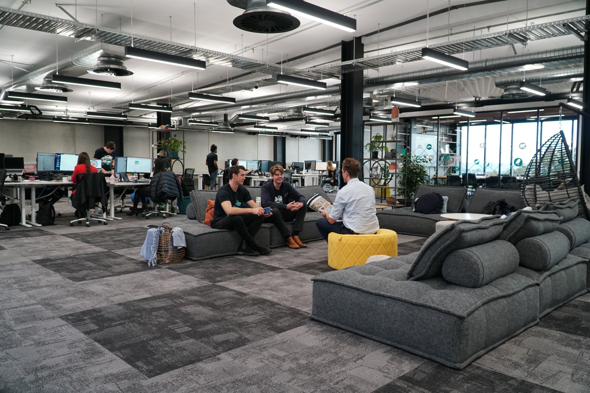 Inside ezyVet's new digs. Photo / Supplied