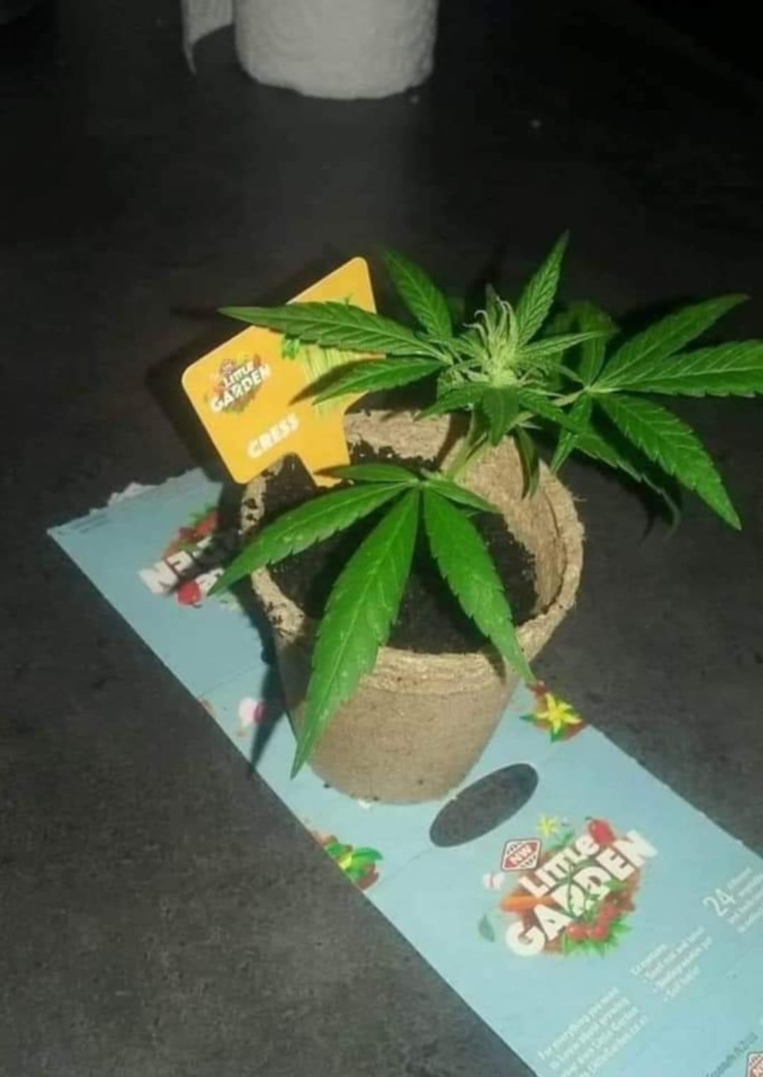 The photo was posted to the Vic Deals Facebook group. Photo / Facebook