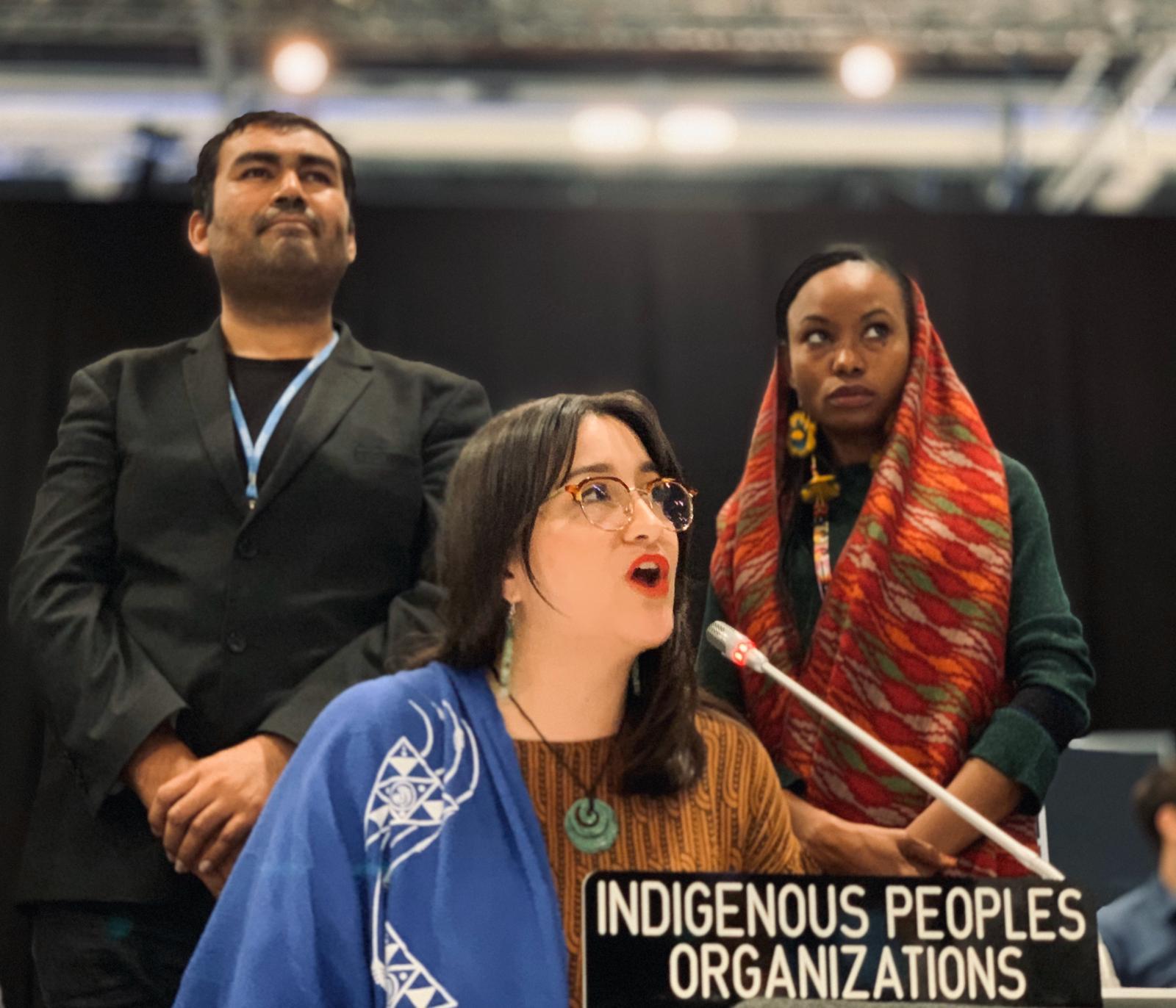 Kera Sherwood-O'Regan (Ngāi Tahu) told the conference to