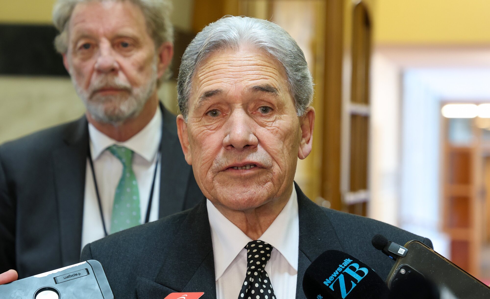 Foreign Affairs Minister Winston Peters. Photo / Mark Mitchell