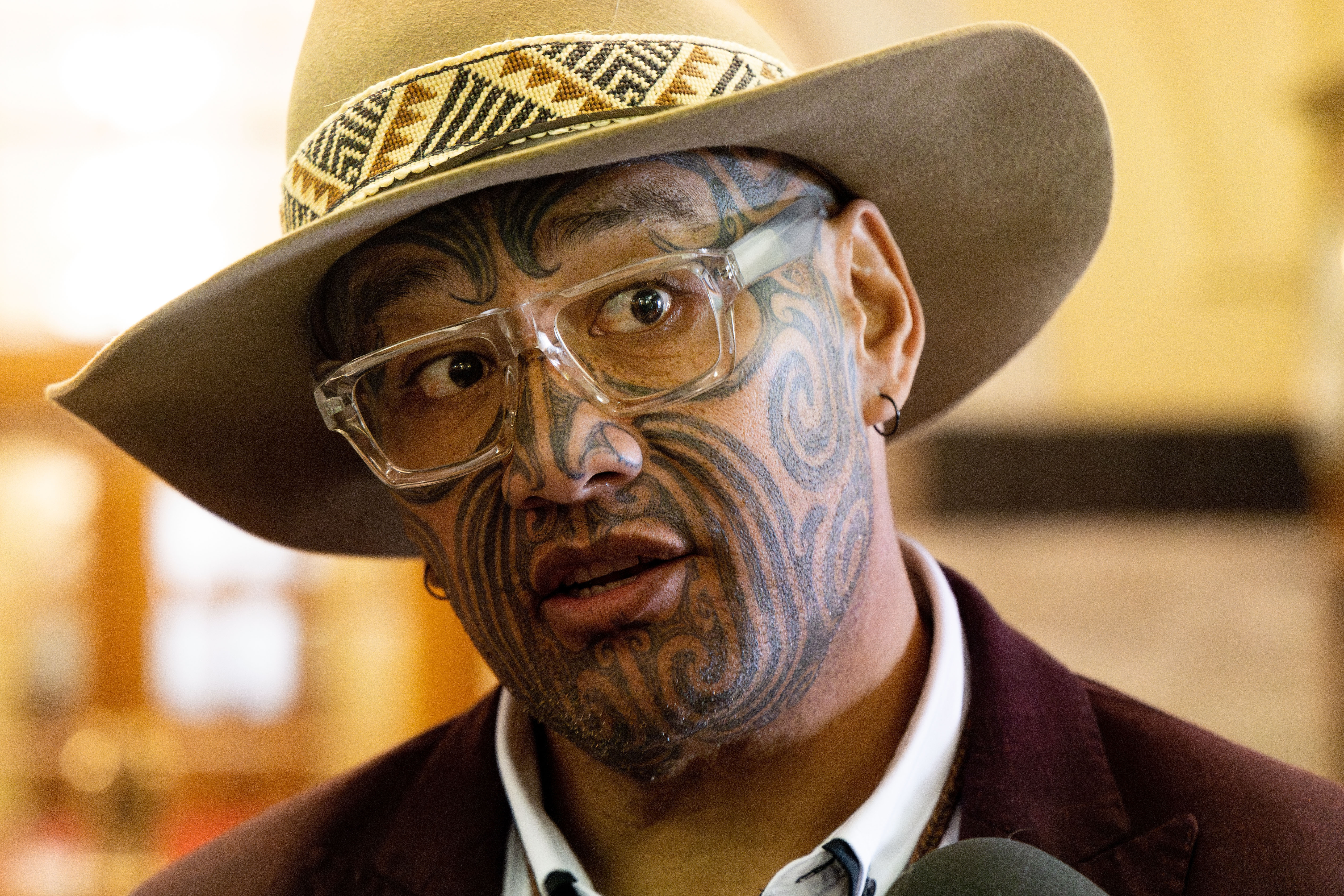 Māori Party co-leader Rawiri Waititi. Photo / Marty Melville