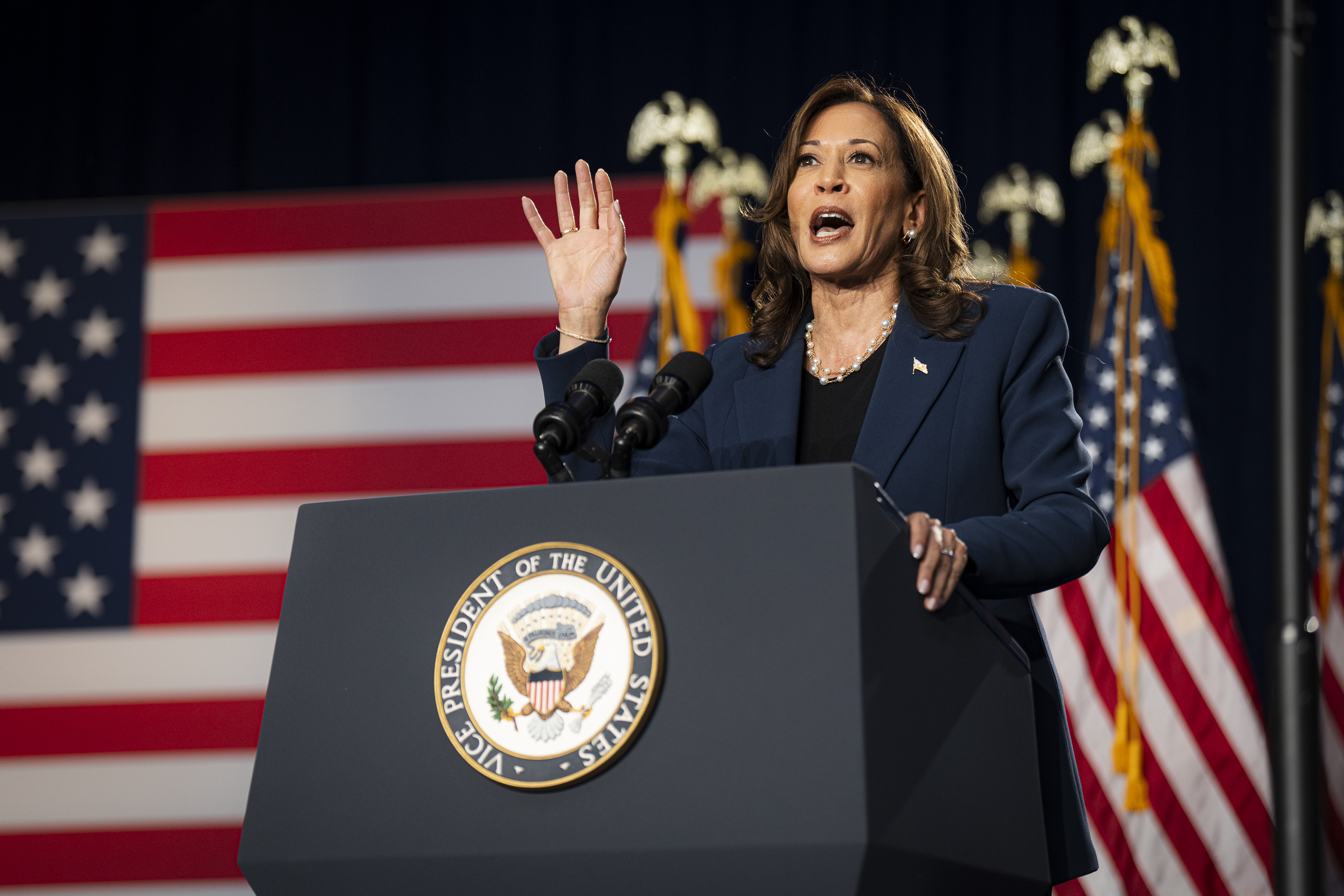 Vice President Kamala Harris speaks at a campaign event Tuesday at West Allis Central High School in suburban Milwaukee. Photo / Sara Stathas for The Washington Post