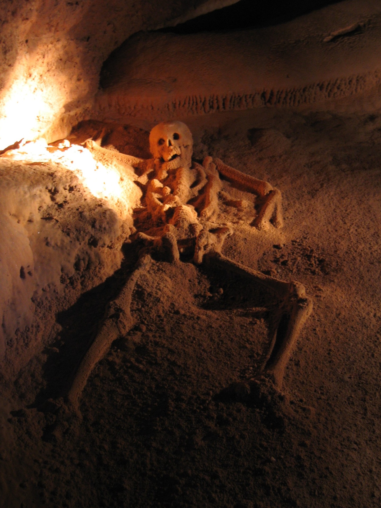 An unlucky sacrifice deep in the ATM Caves. Photo / Peter Andersen