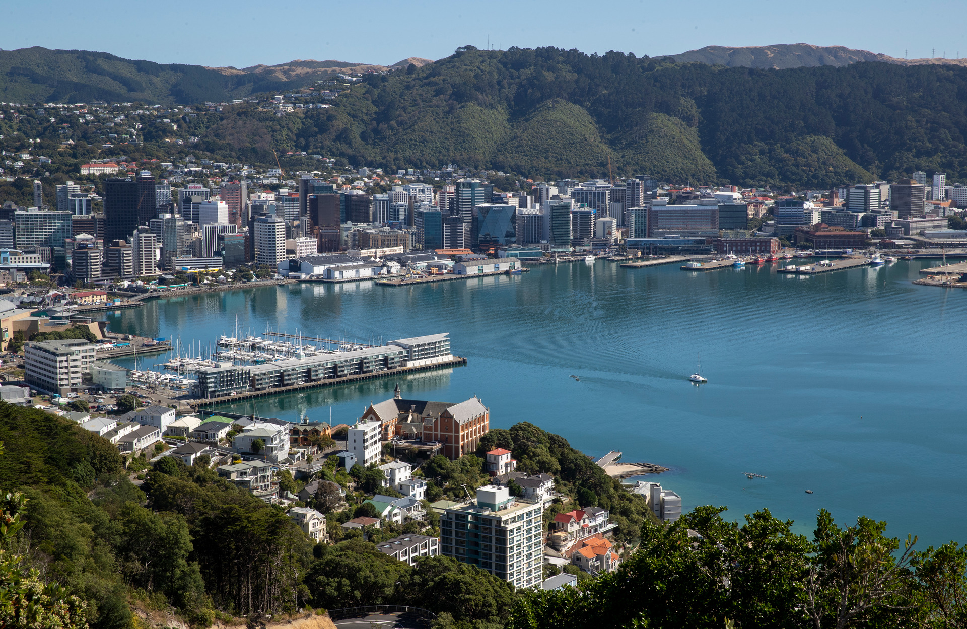 Wellington's population has been stagnating for years. Photo / Mark Mitchell
