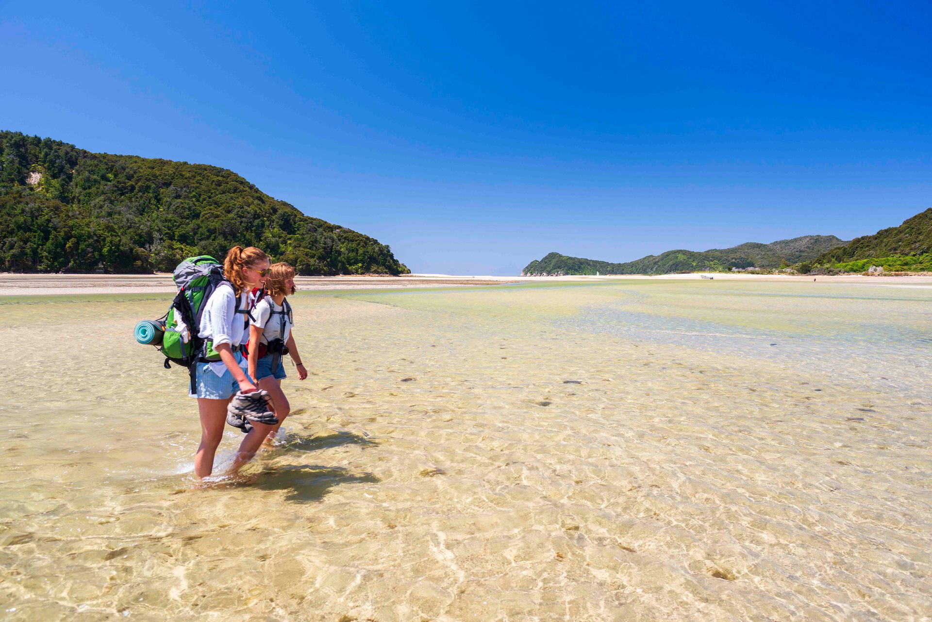 Abel Tasman Coastal Track is one of NZ's Great Walks, and takes hikers to Awaroa beach. Photo / Oliver Weber 