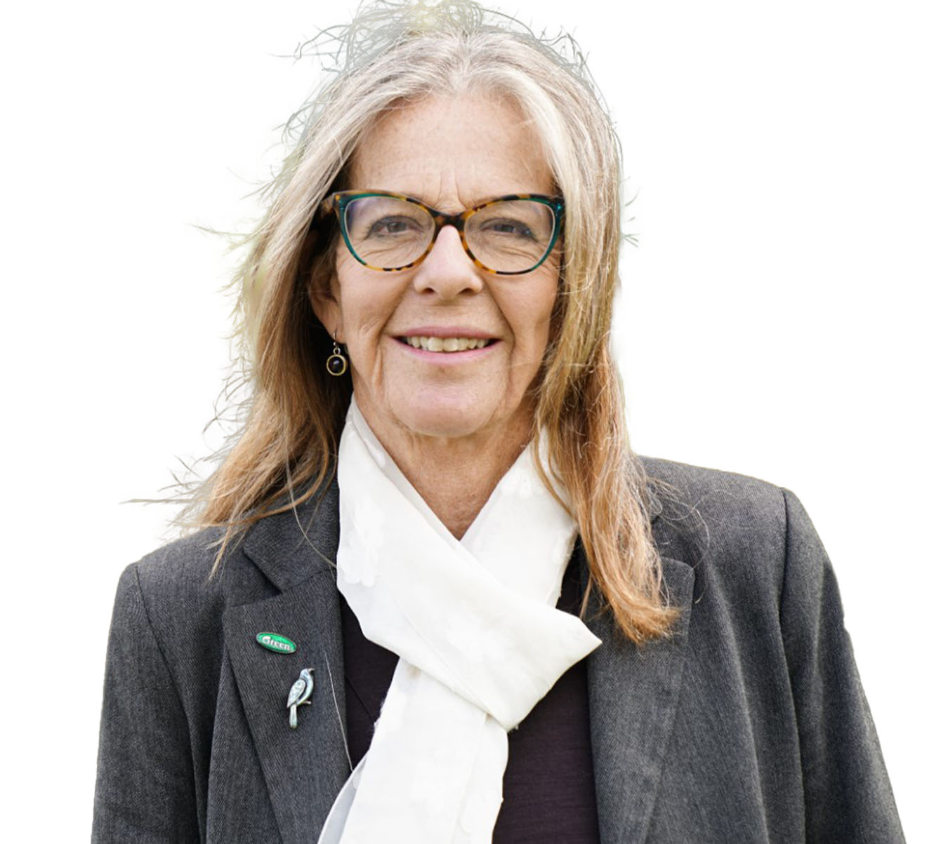 Green MP Celia Wade-Brown. Photo / Supplied